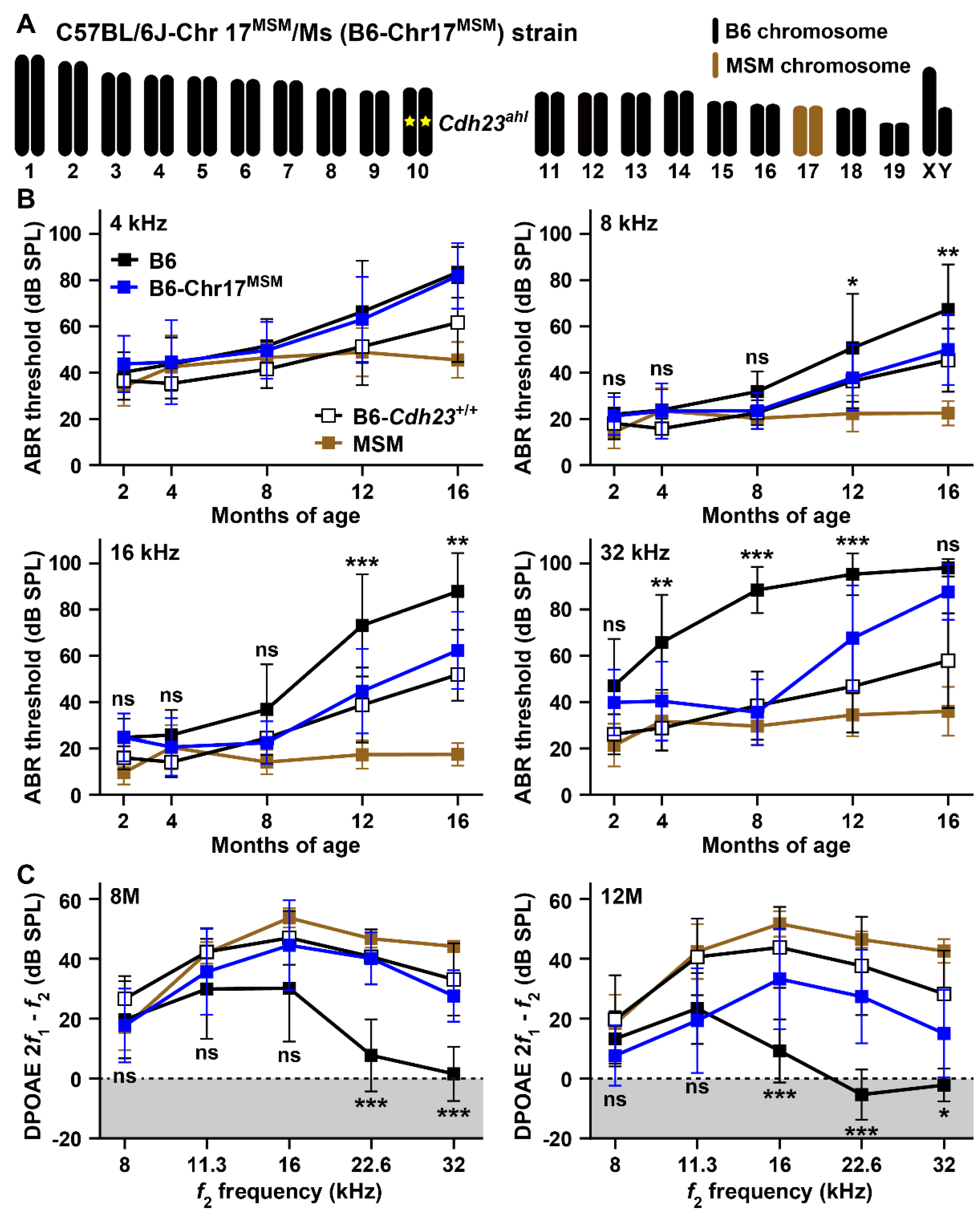 Biomedicines 10 02221 g006 Biomedicines 10 02221 g006