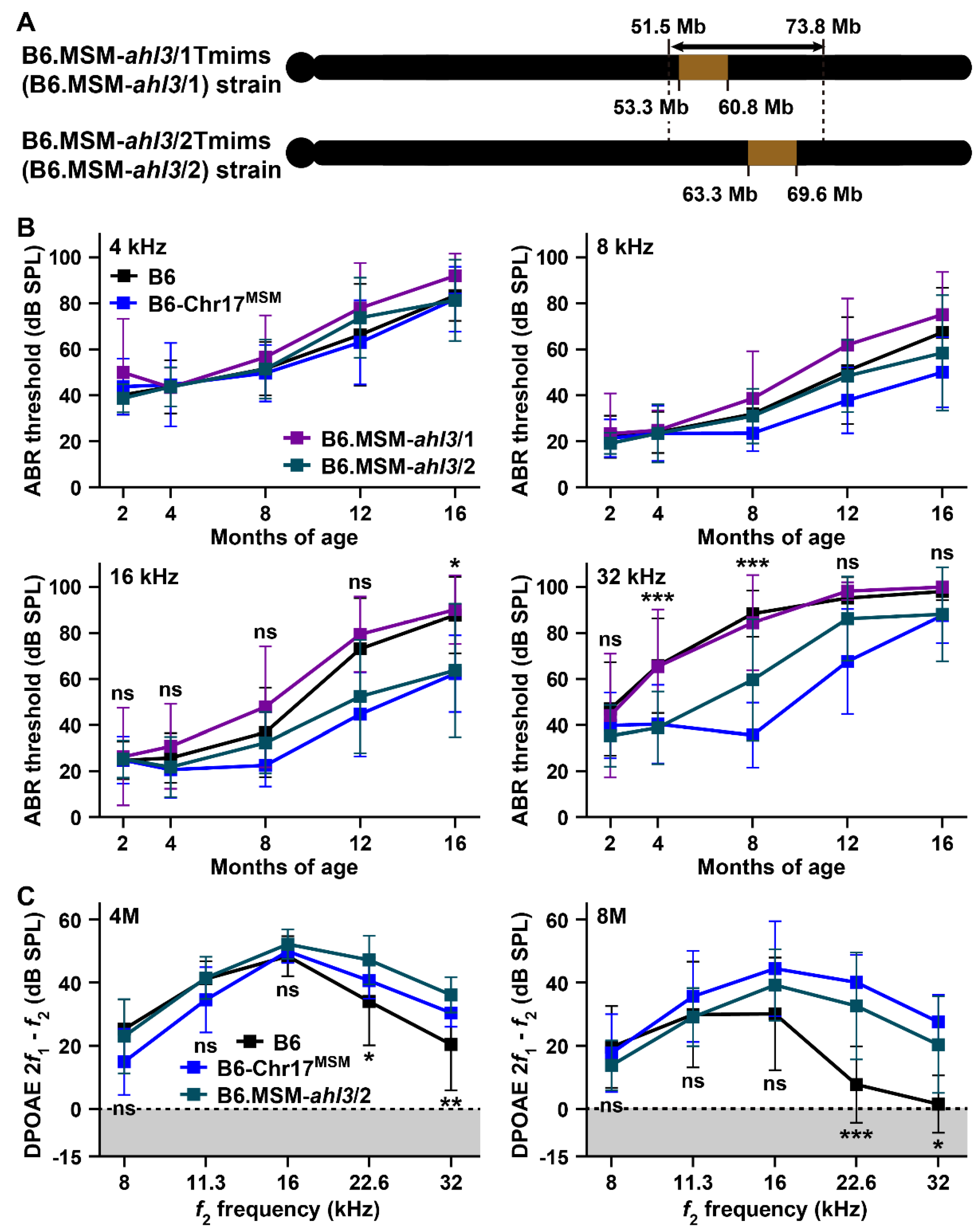 Biomedicines 10 02221 g007 Biomedicines 10 02221 g007