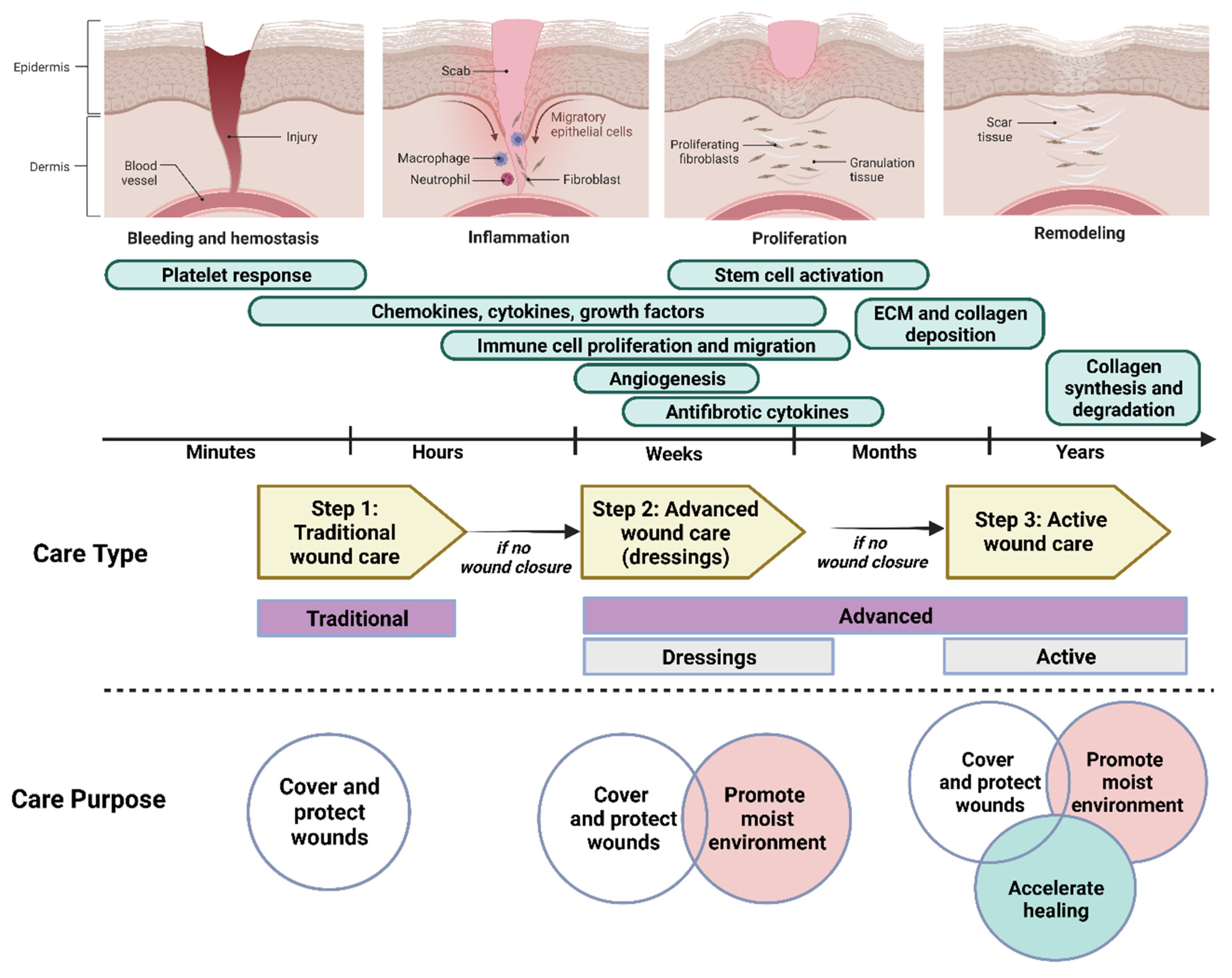 Biomedicines | Free Full-Text | The Discovery and Development of  Natural-Based Biomaterials with Demonstrated Wound Healing Properties: A  Reliable Approach in Clinical Trials