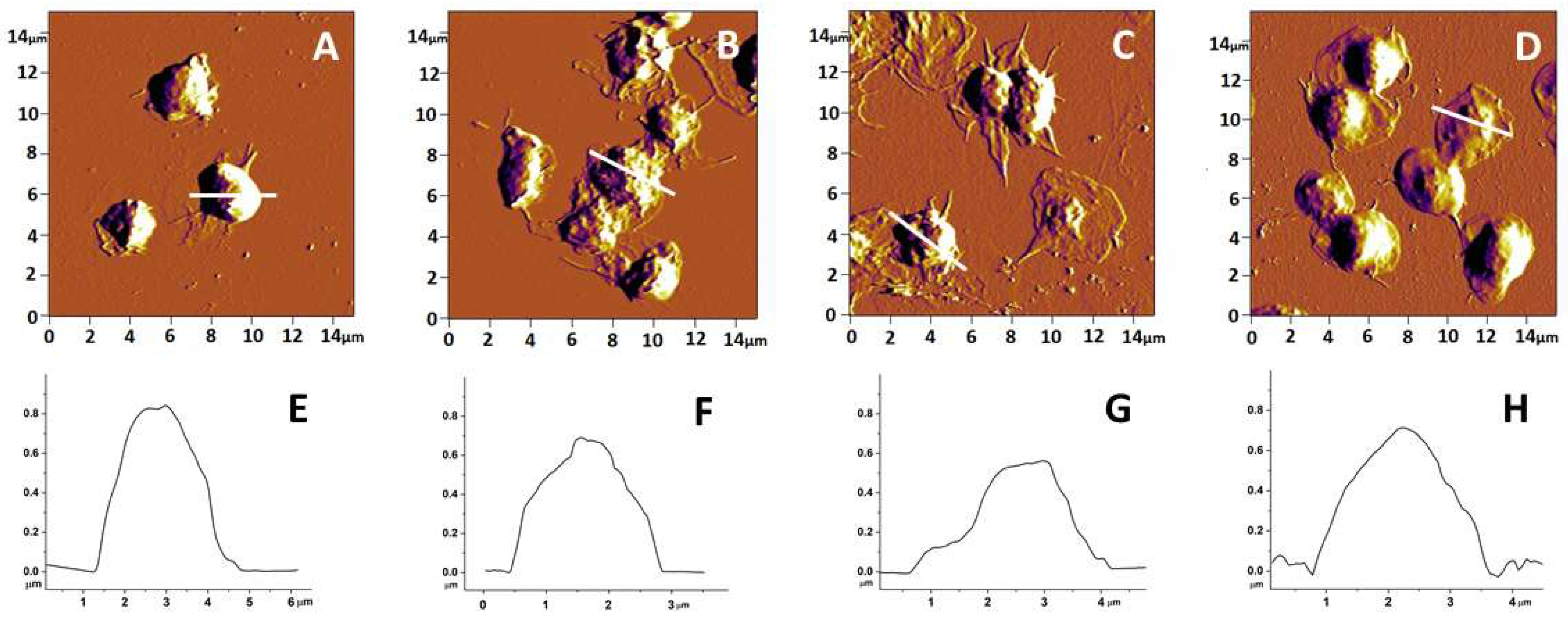 Biomedicines 10 02239 g001