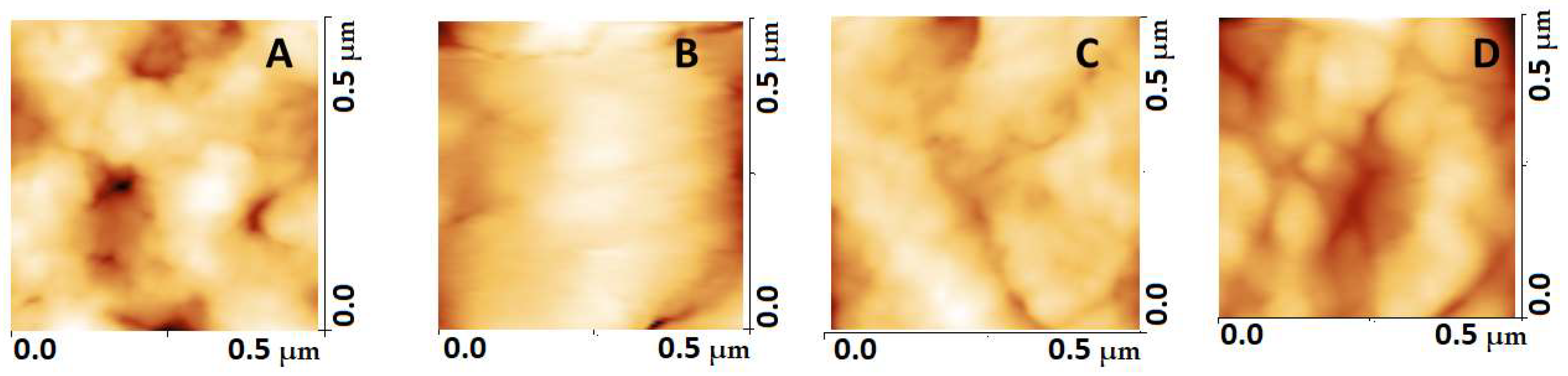 Biomedicines 10 02239 g002