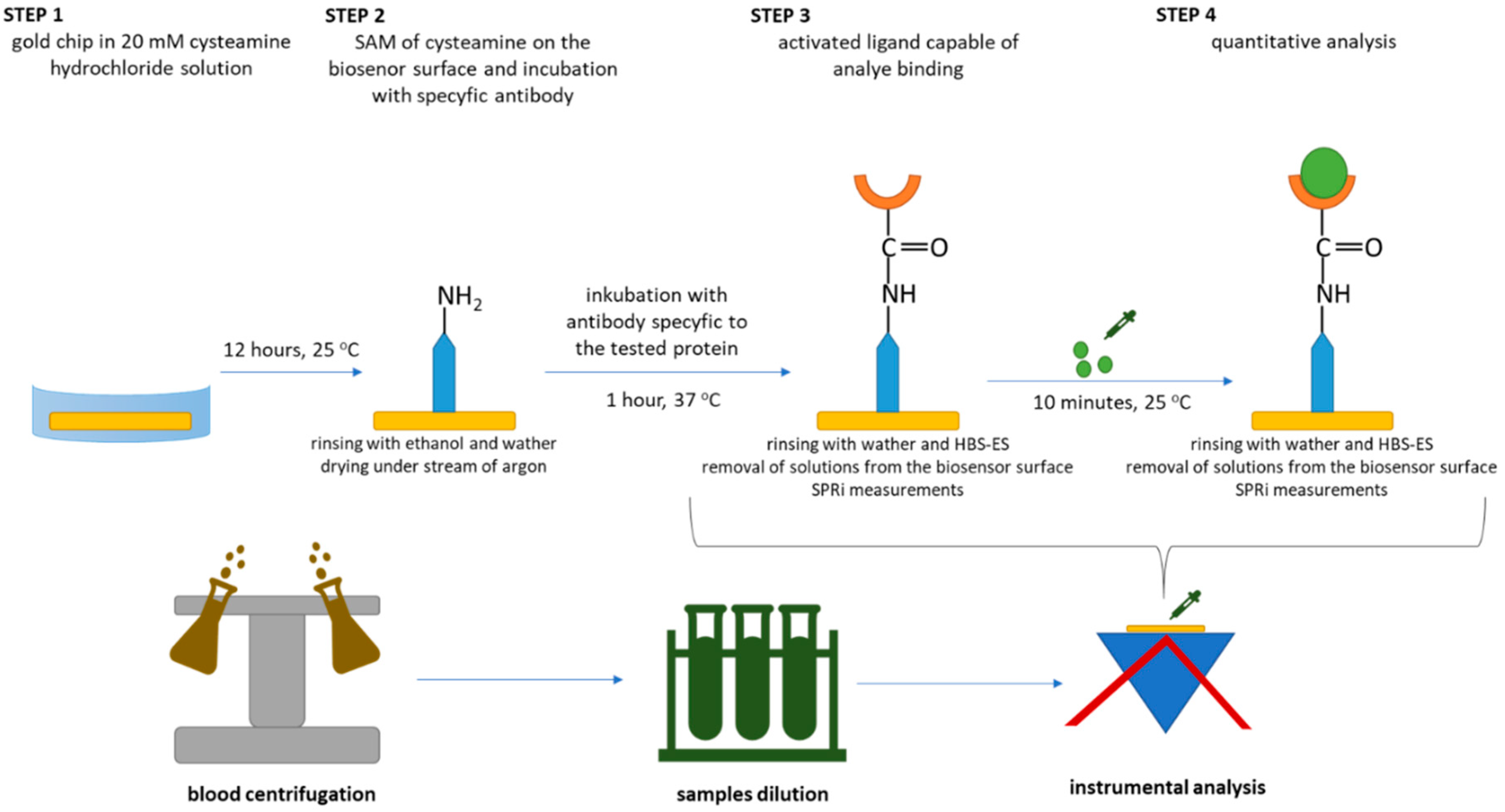 Biomedicines 10 02290 g001