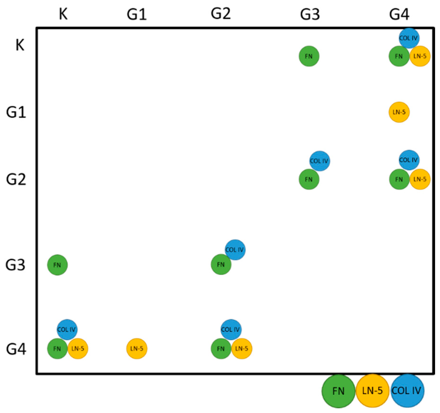 Biomedicines 10 02290 g002