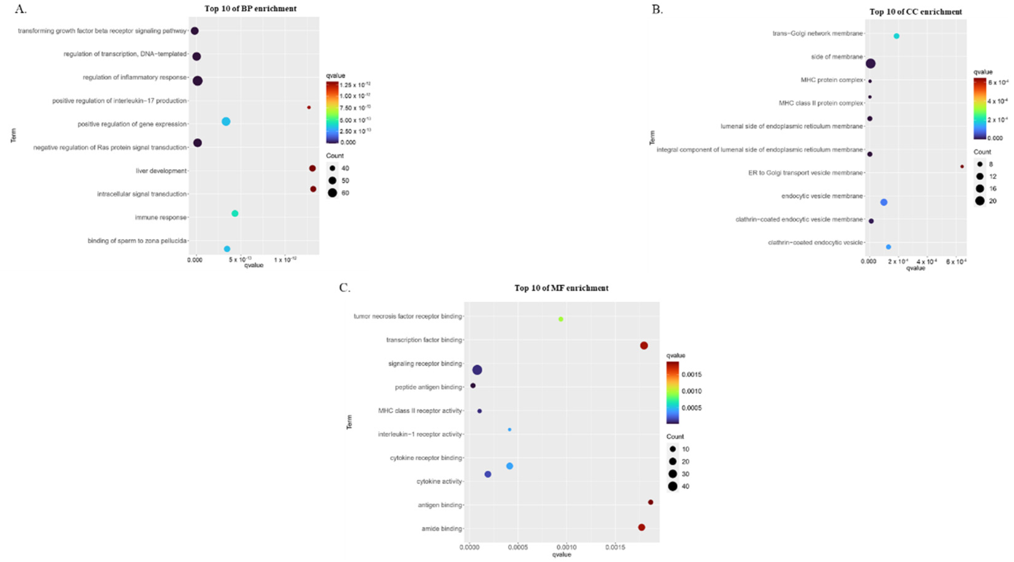Biomedicines 10 02311 g002 Biomedicines 10 02311 g002