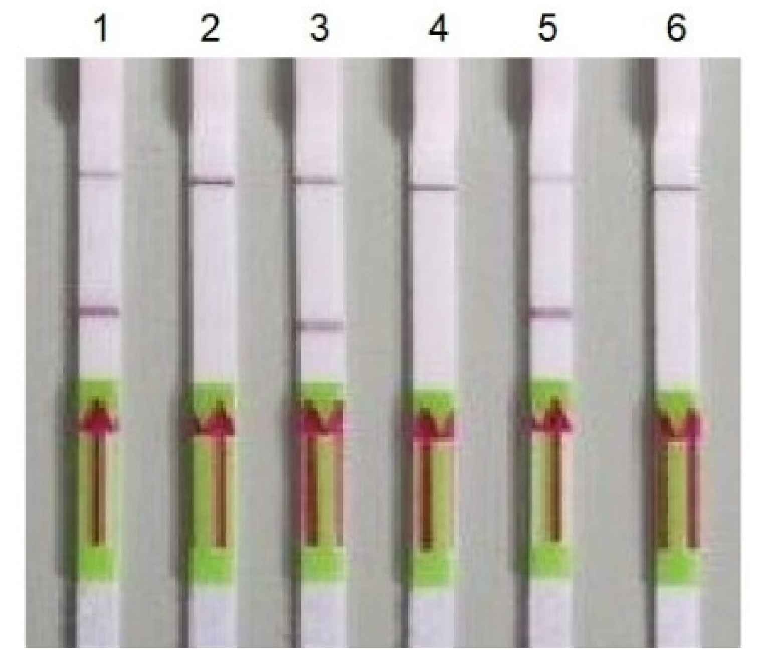 Biomedicines 10 02329 g002