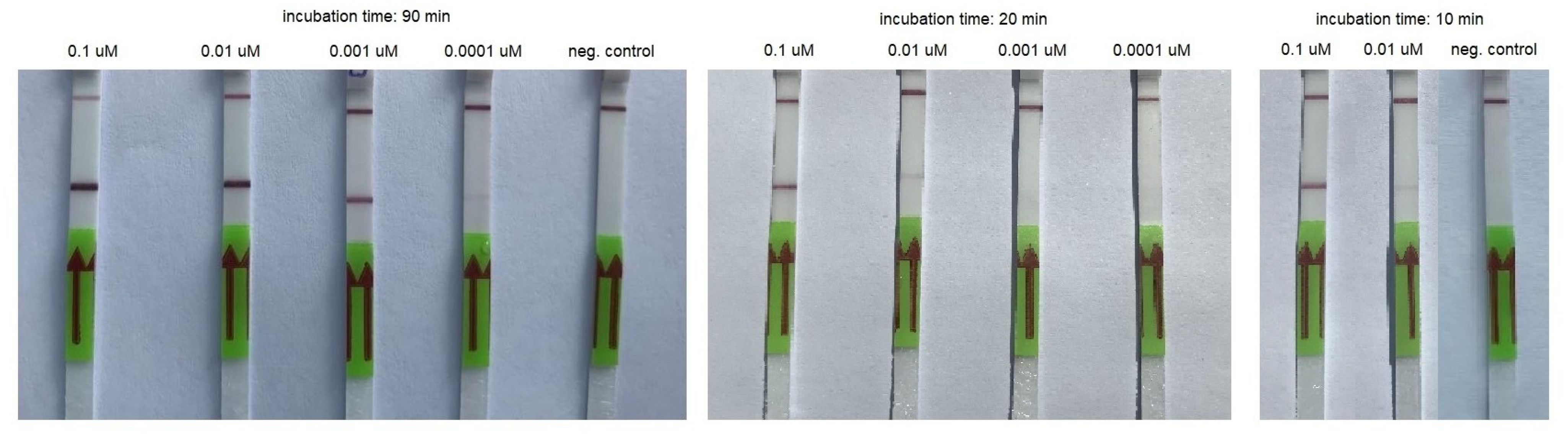 Biomedicines 10 02329 g003