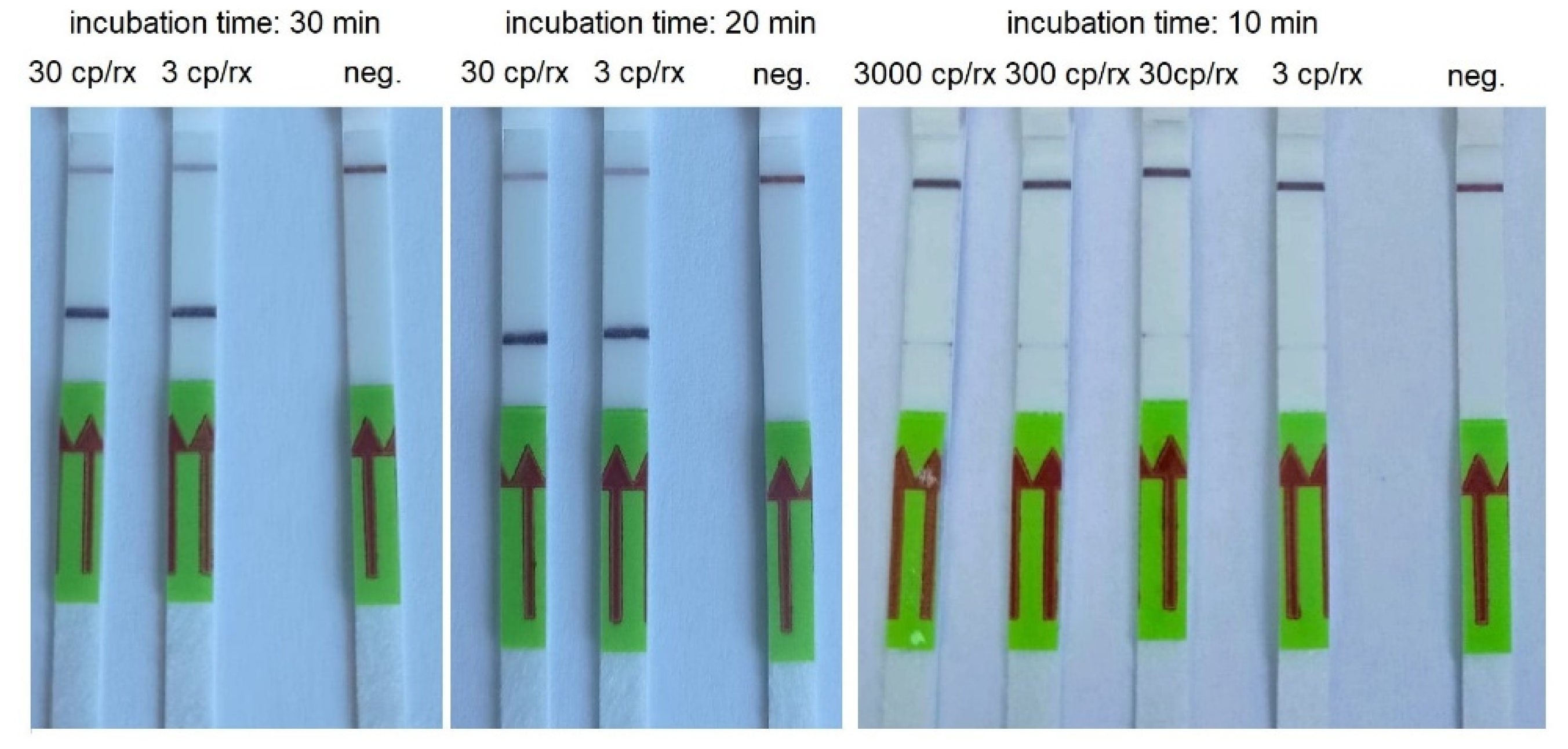 Biomedicines 10 02329 g004