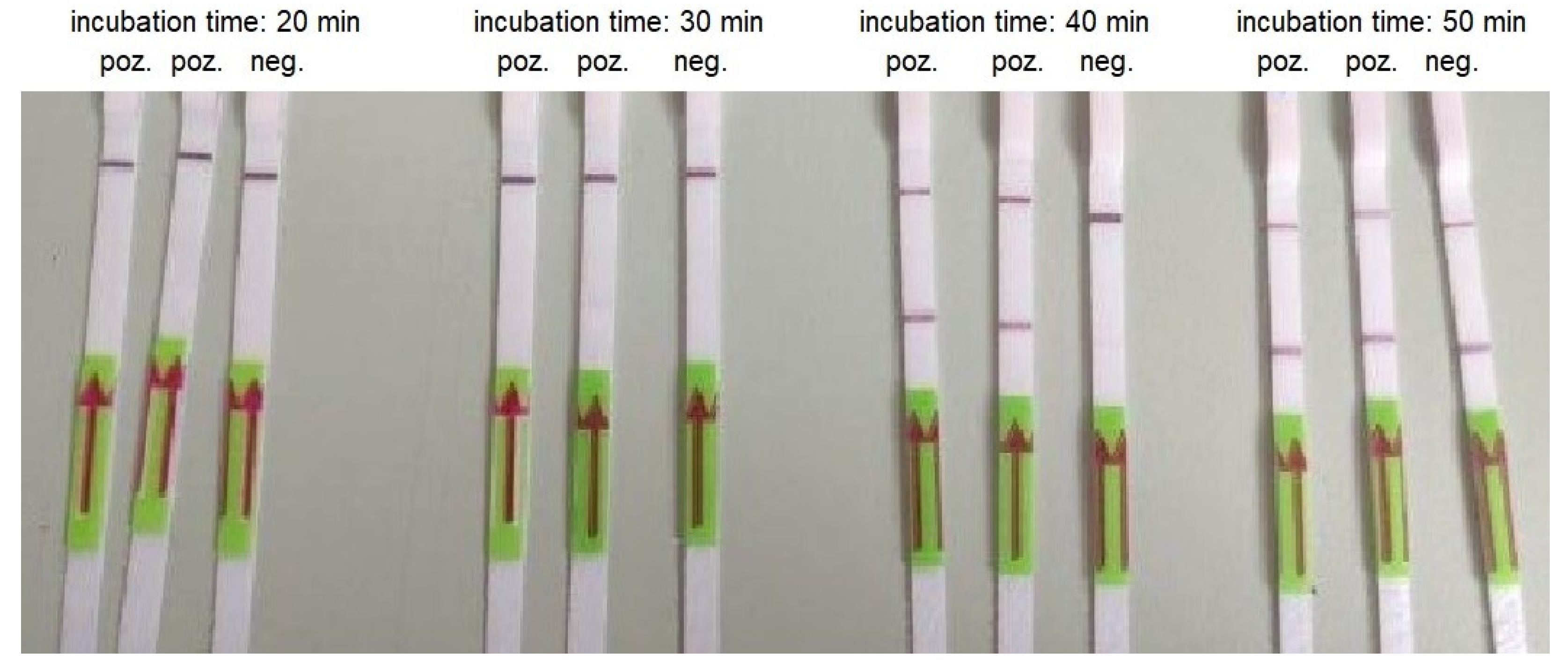 Biomedicines 10 02329 g005