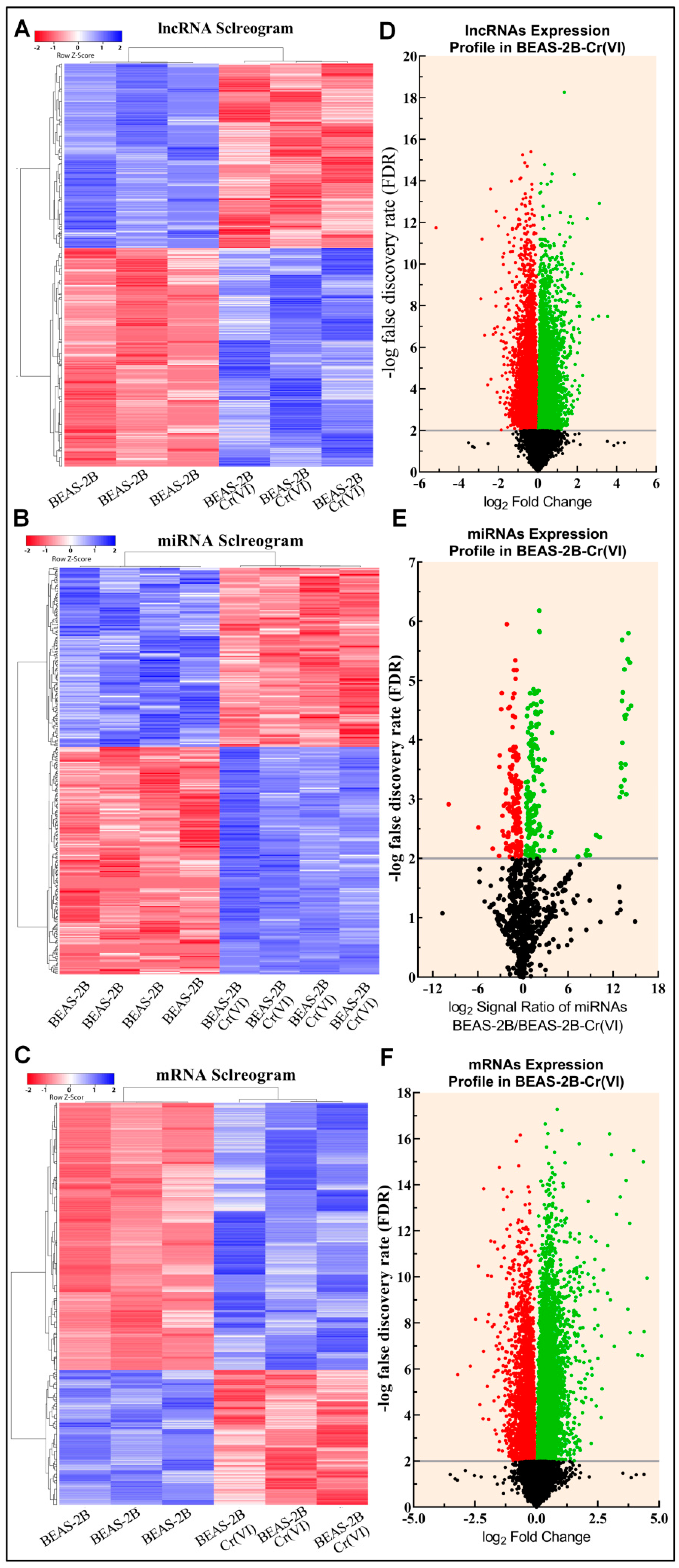 Biomedicines | Free Full-Text | The Oncogenic and Tumor 