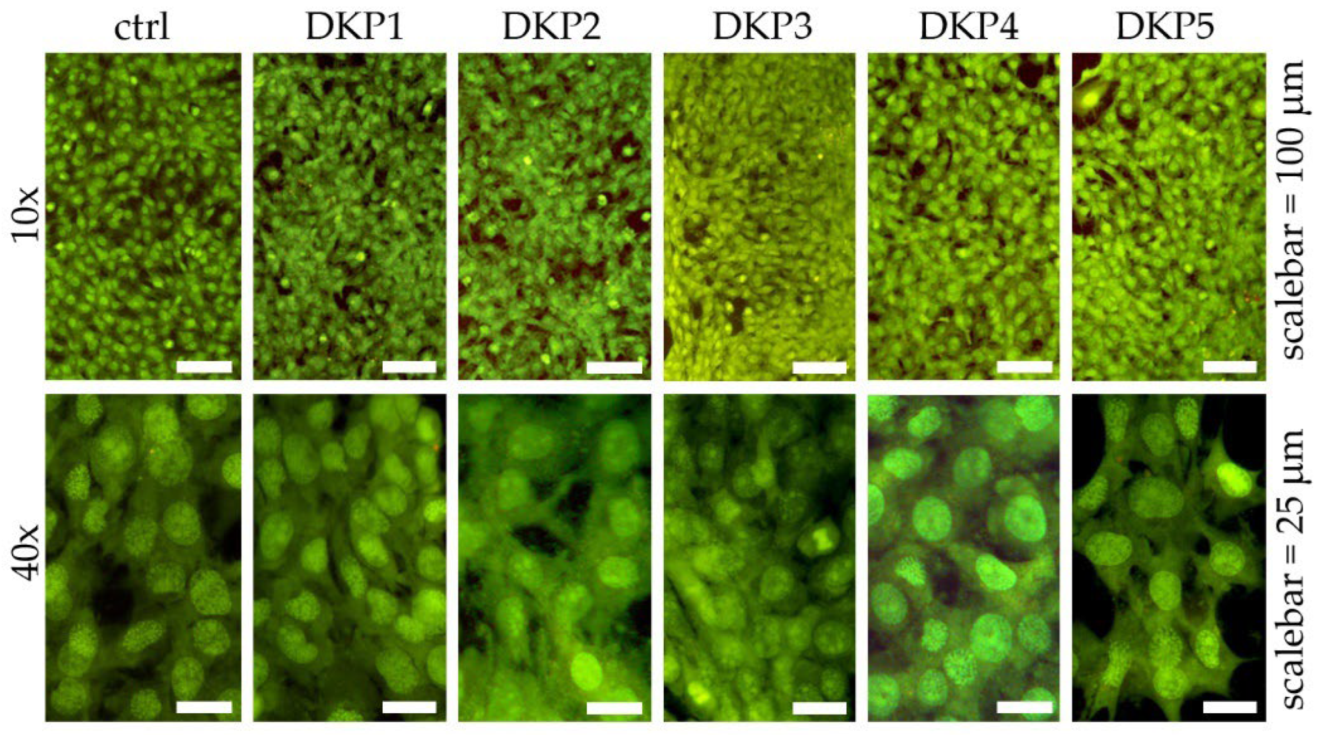 Biomedicines 10 02342 g004