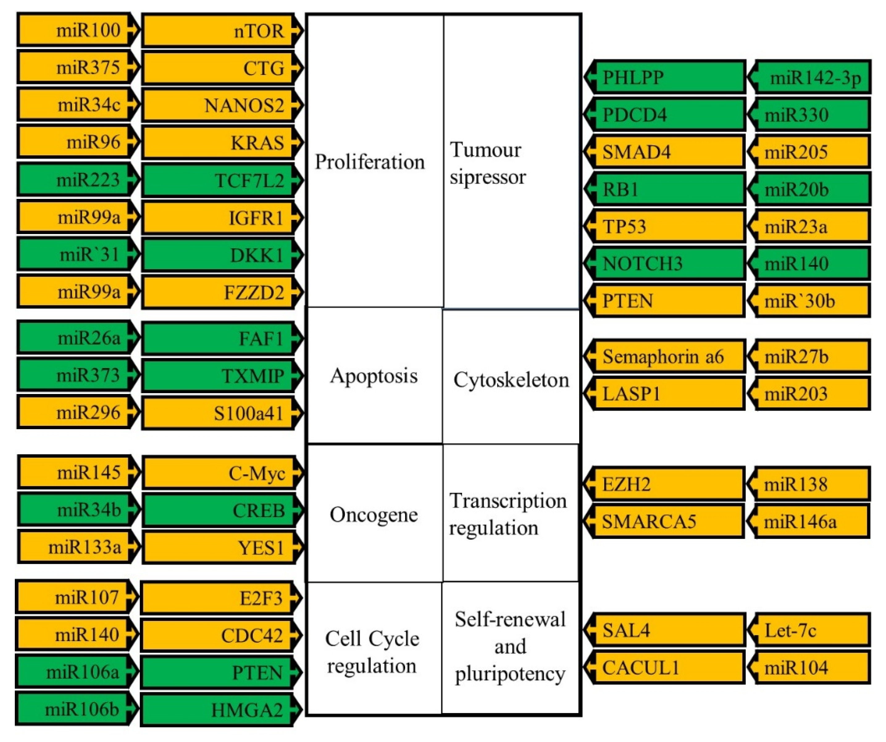 Biomedicines 10 02359 g003
