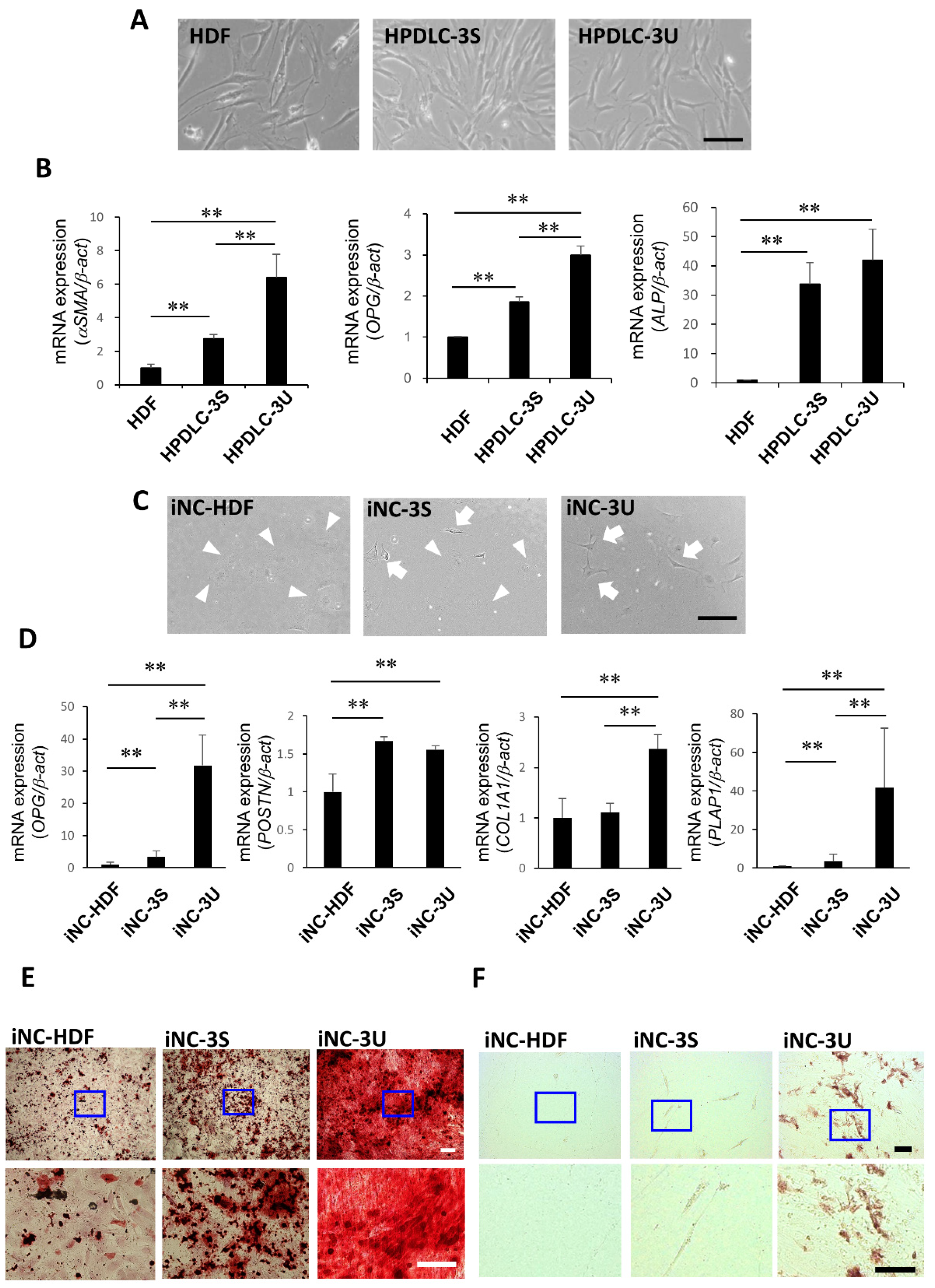 Biomedicines 10 02366 g001