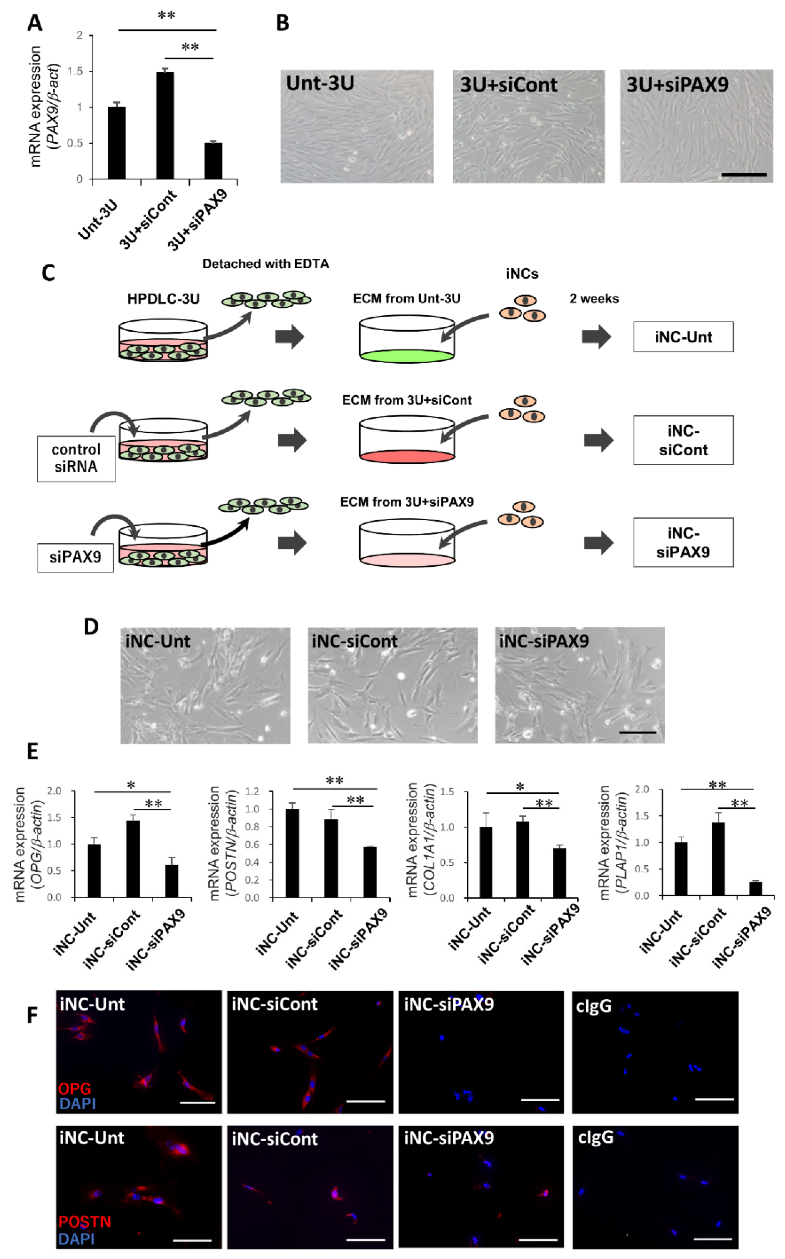 Biomedicines 10 02366 g003