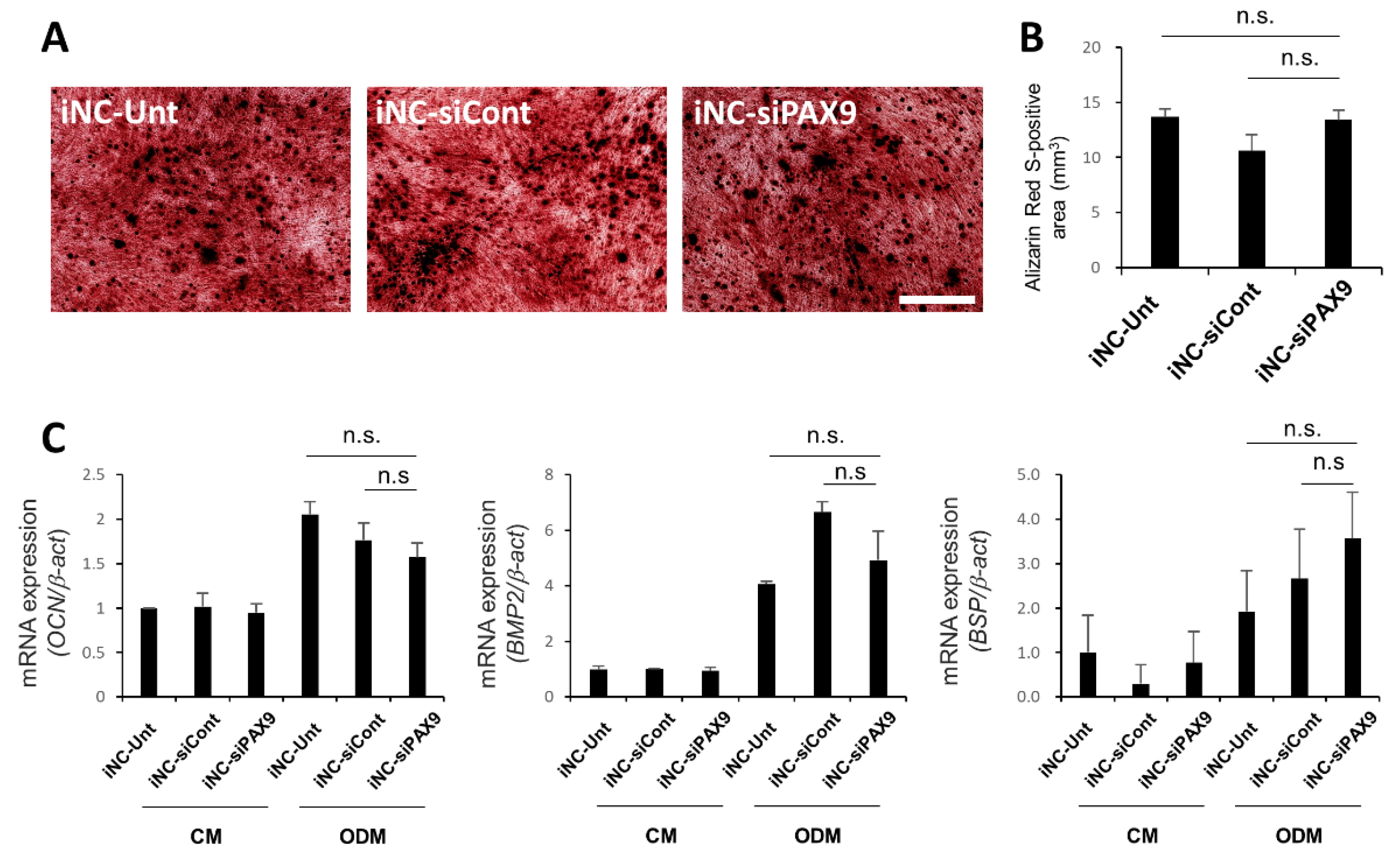 Biomedicines 10 02366 g005