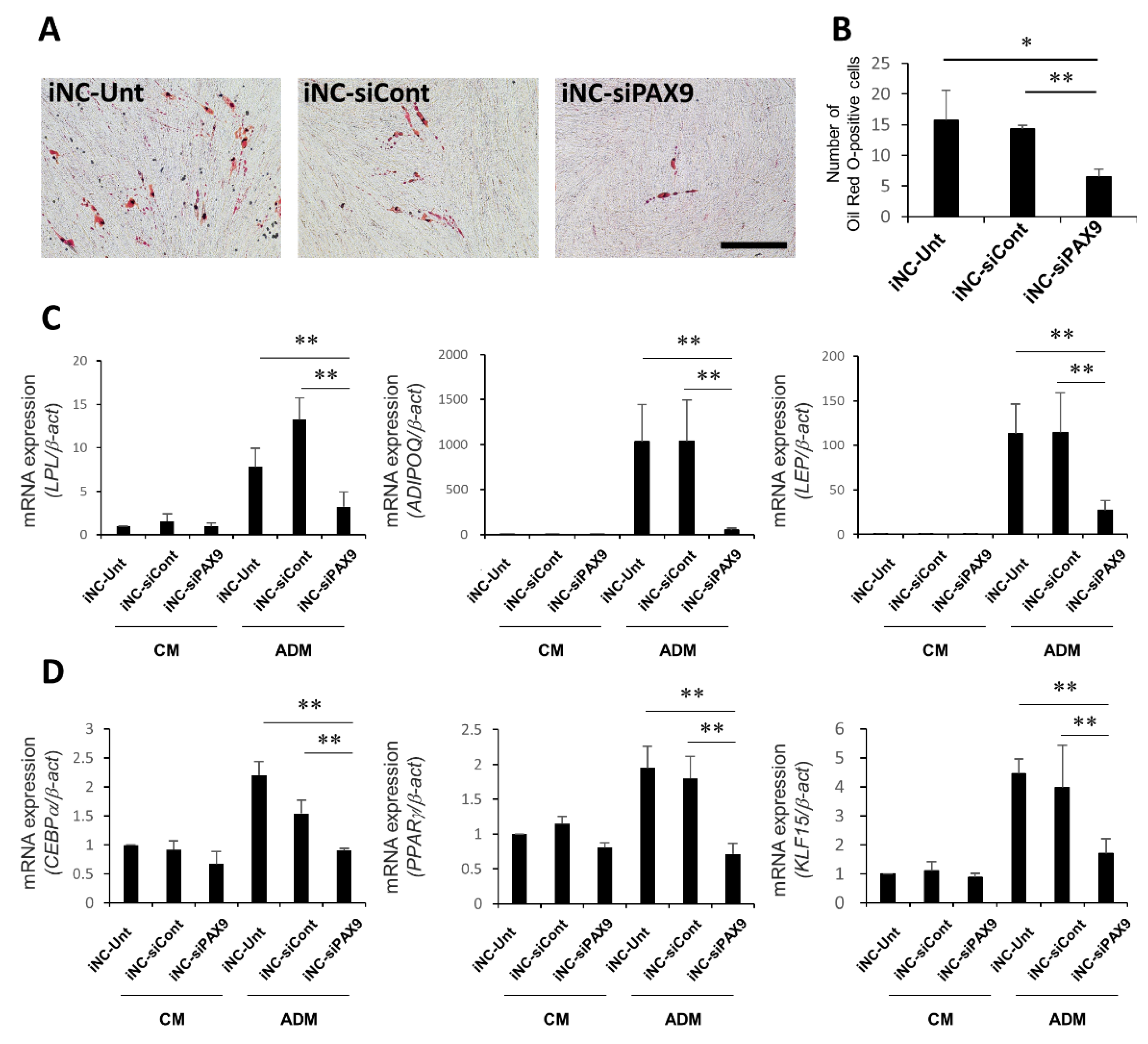 Biomedicines 10 02366 g006