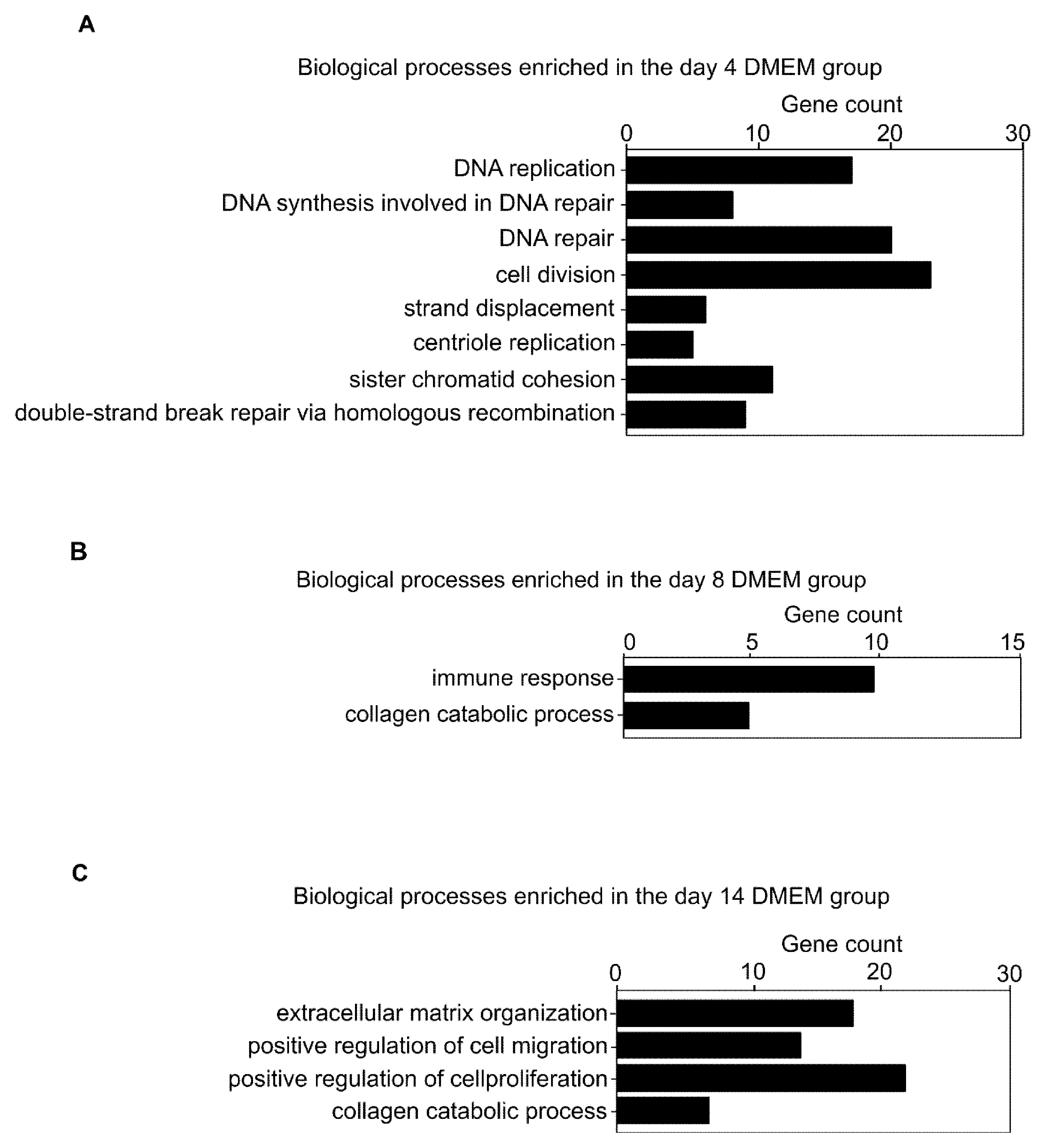 Biomedicines 10 02388 g002