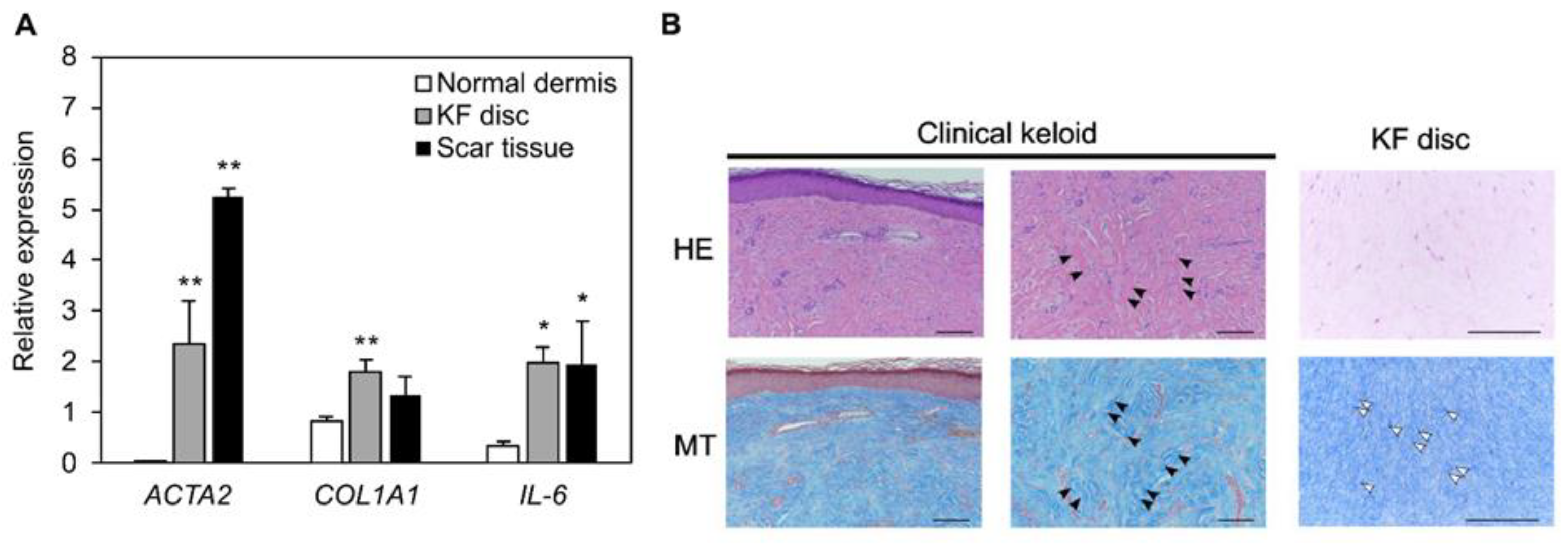 Biomedicines 10 02388 g003