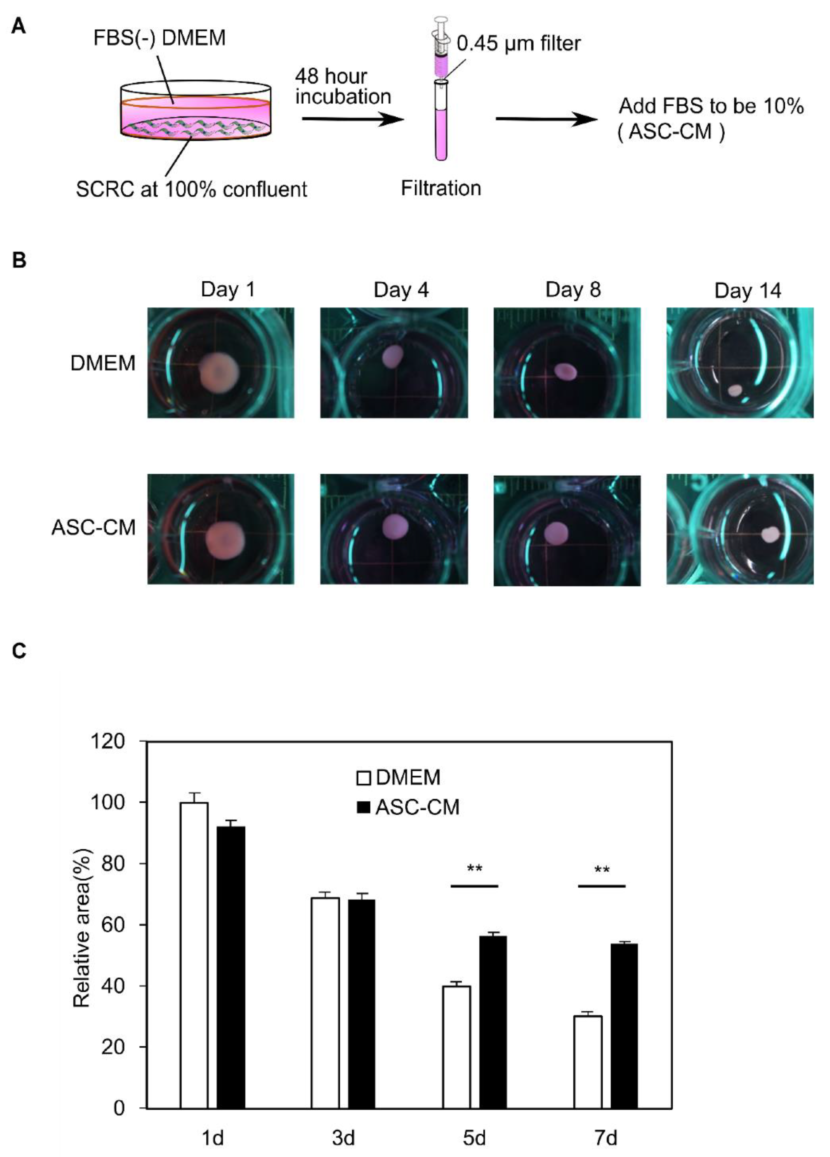 Biomedicines 10 02388 g004