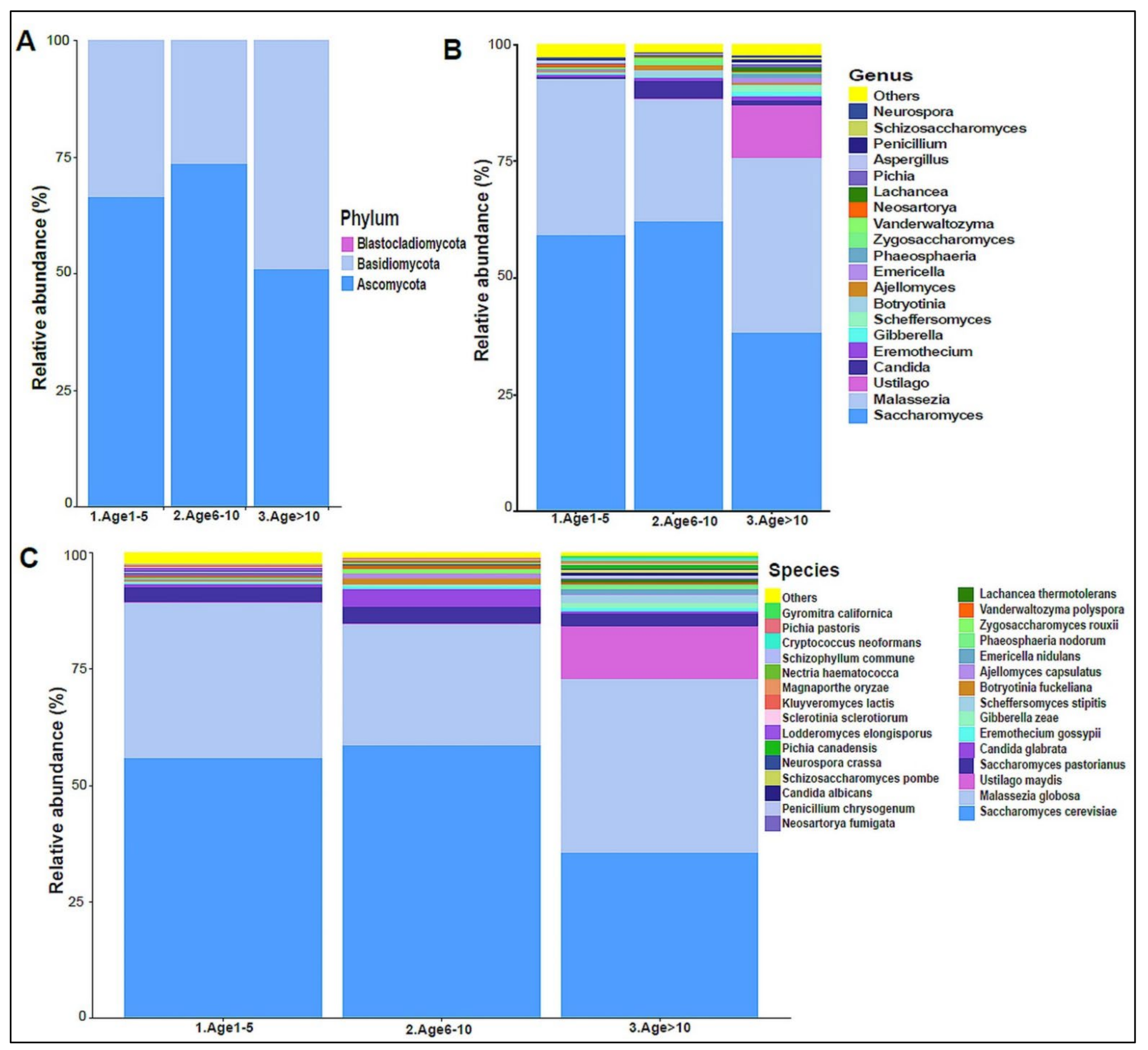 Biomedicines 10 02412 g007 Biomedicines 10 02412 g007
