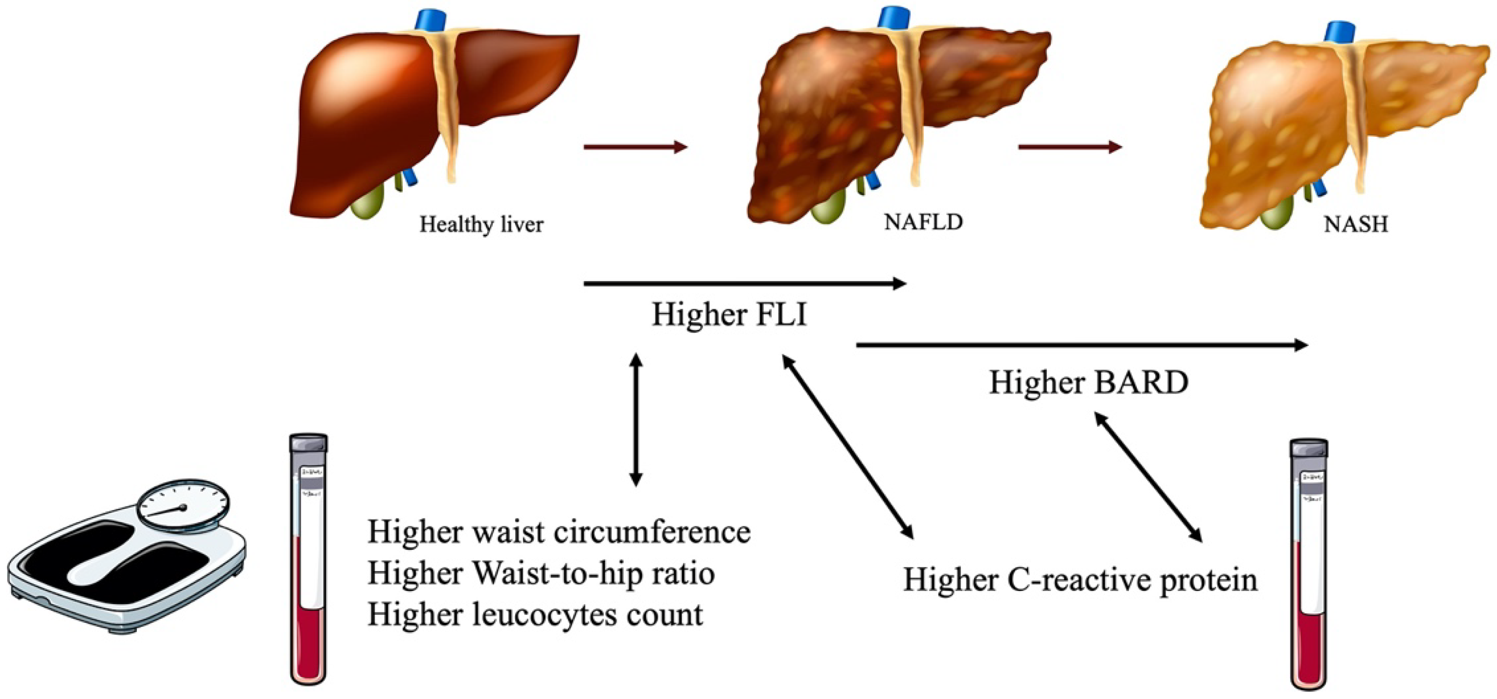 Biomedicines 10 02416 g002 Biomedicines 10 02416 g002