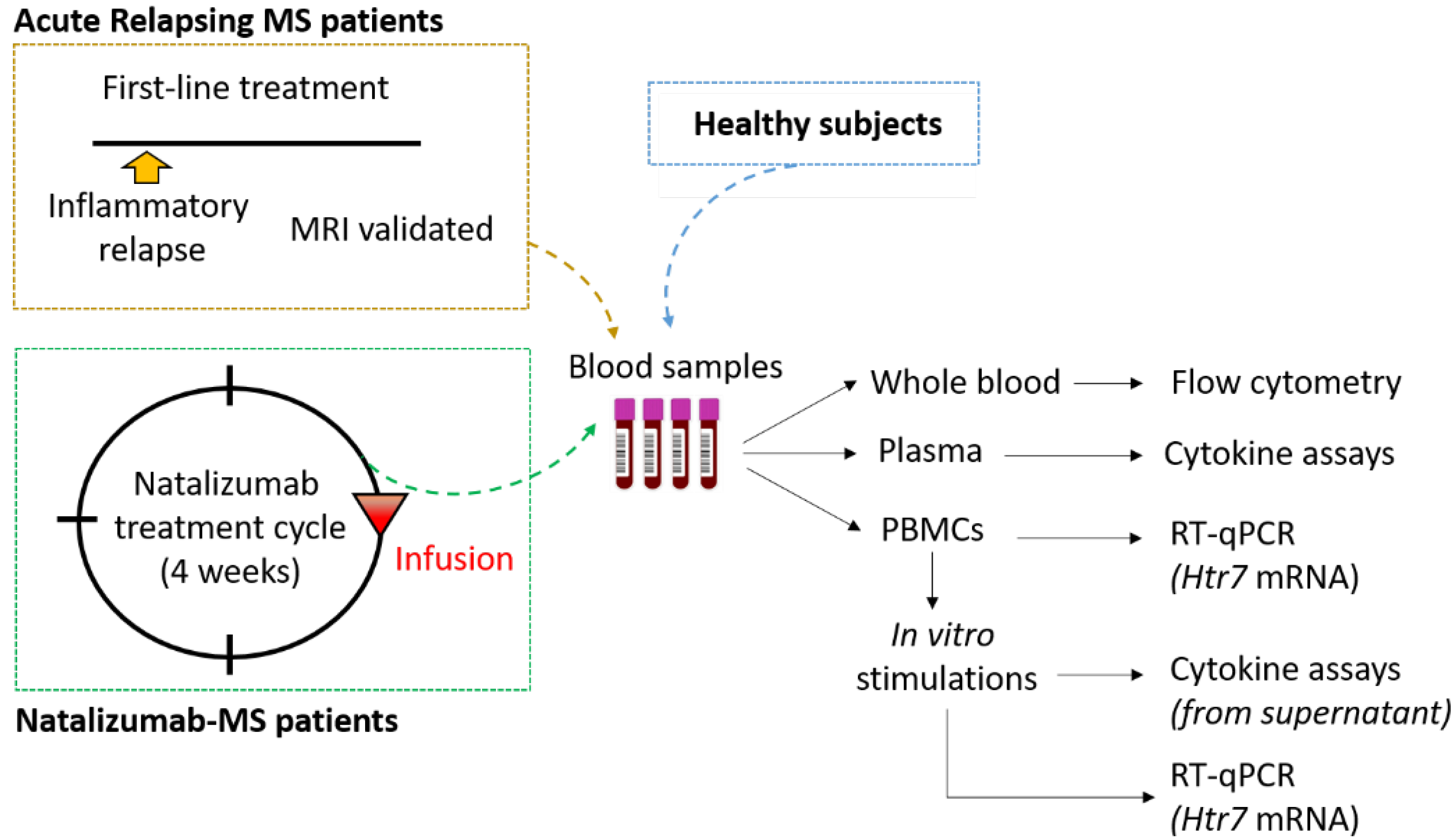 Biomedicines 10 02418 g001 Biomedicines 10 02418 g001