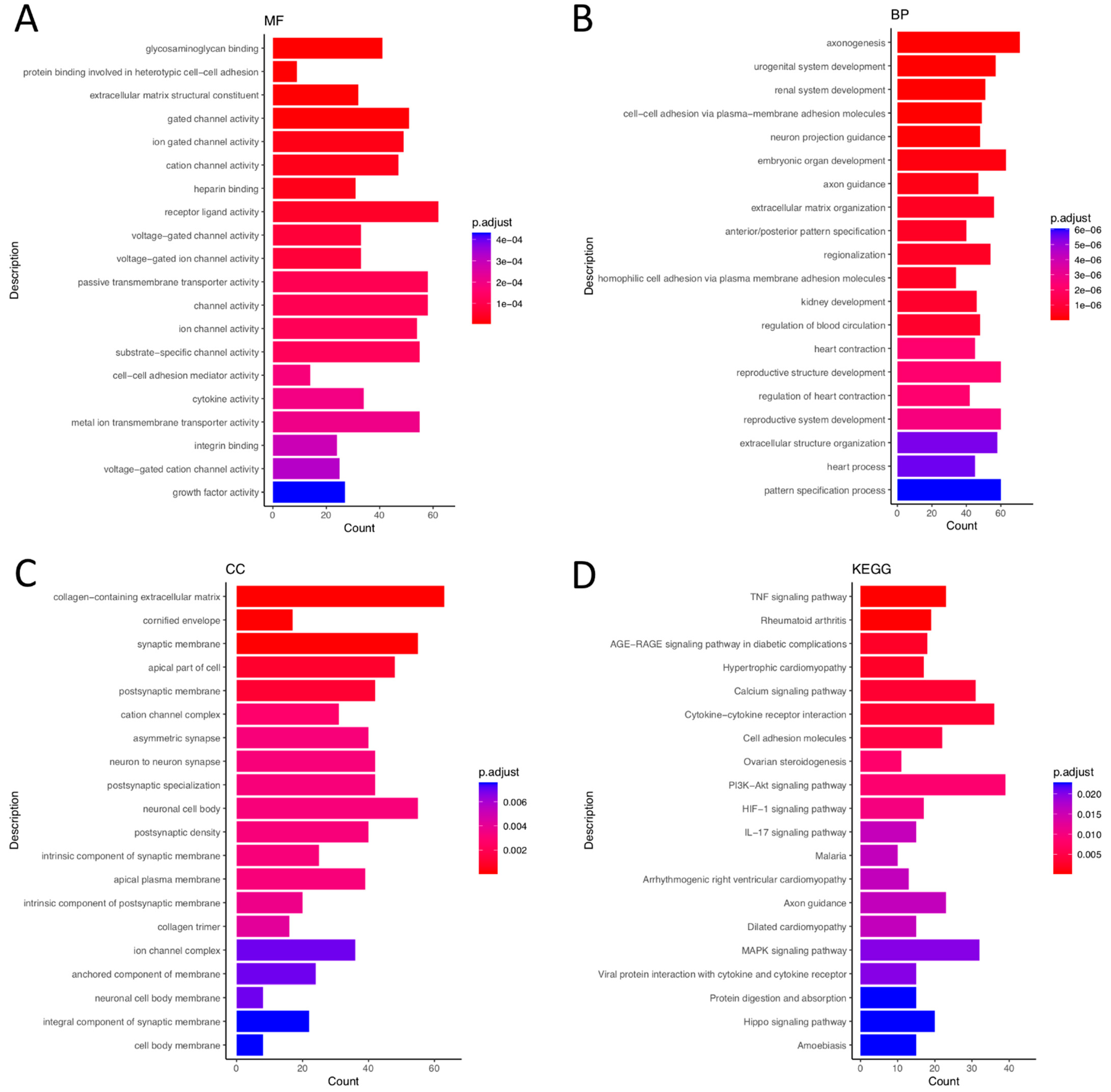 Biomedicines 10 02432 g001