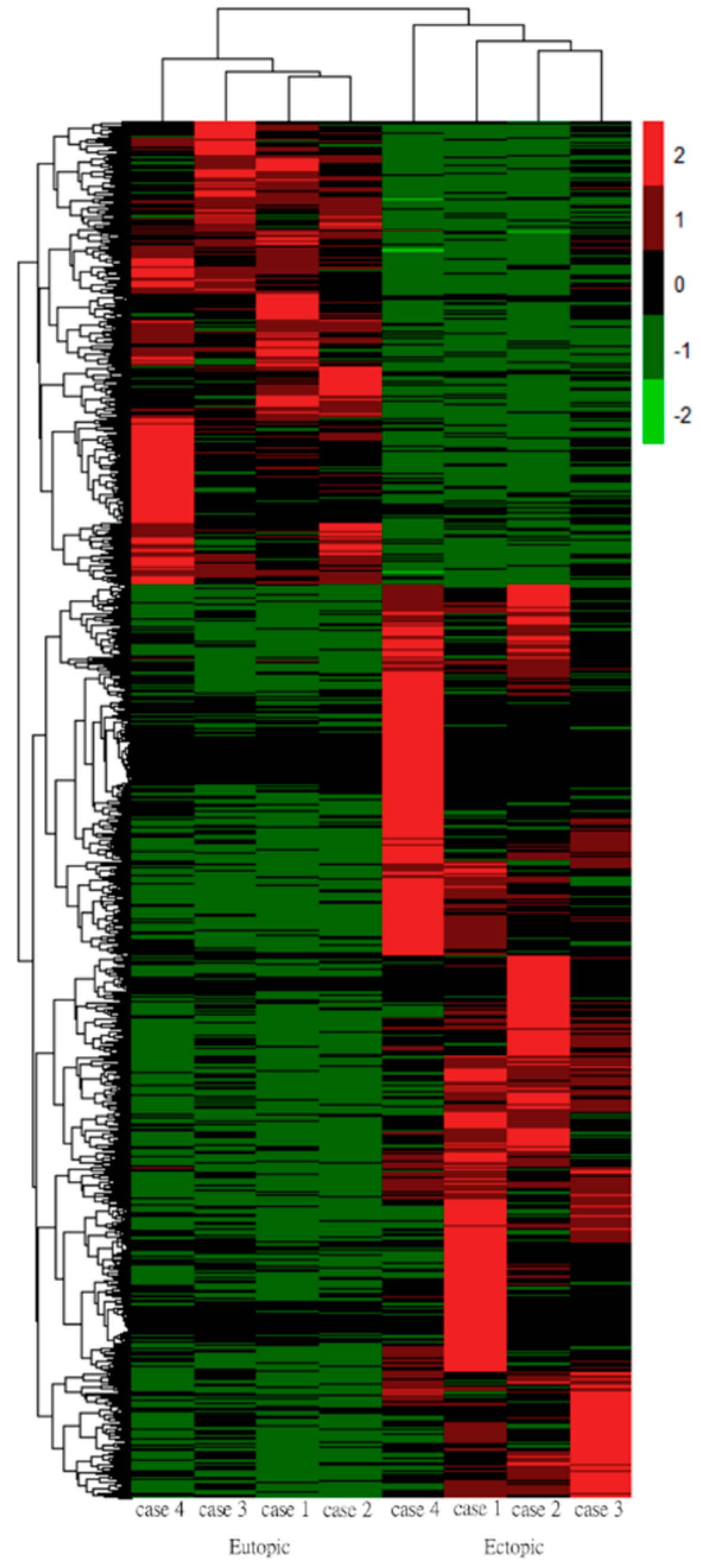 Biomedicines 10 02432 g003