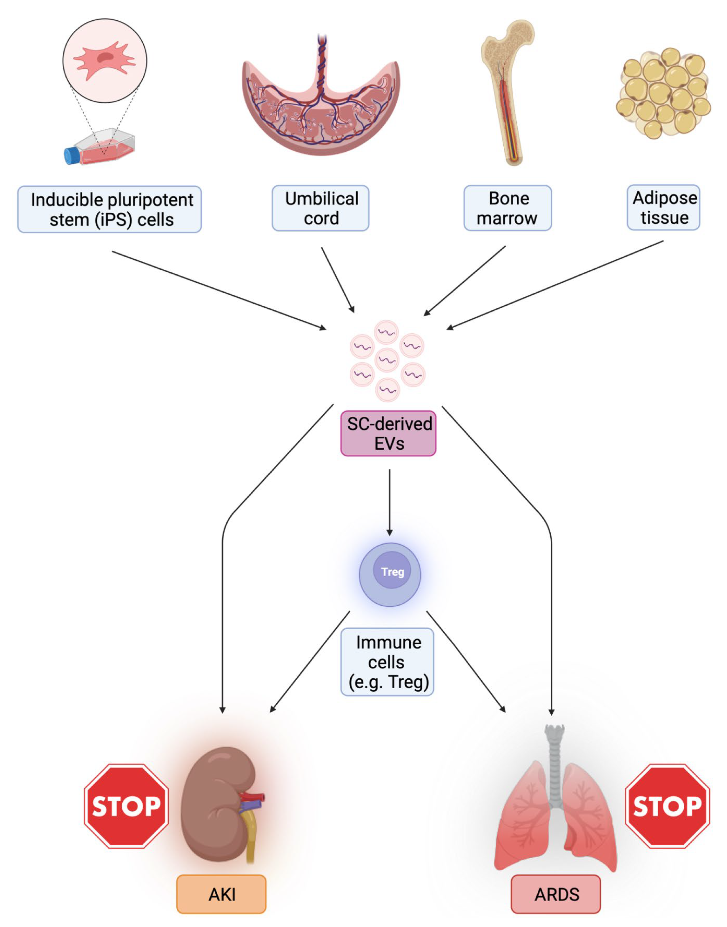 Biomedicines 10 02448 g003 Biomedicines 10 02448 g003