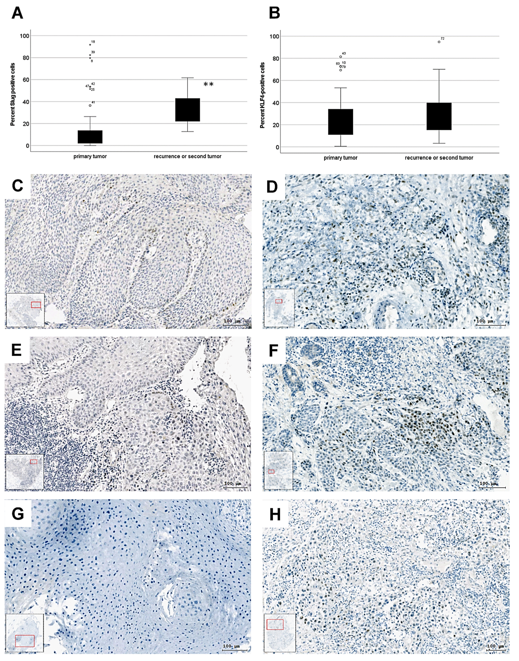 Biomedicines 10 02482 g001 Biomedicines 10 02482 g001
