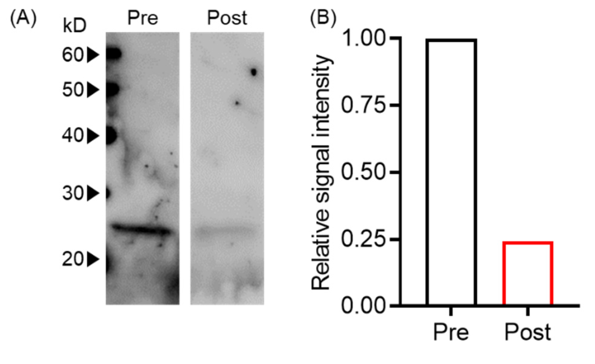 Biomedicines 10 02483 g002 Biomedicines 10 02483 g002