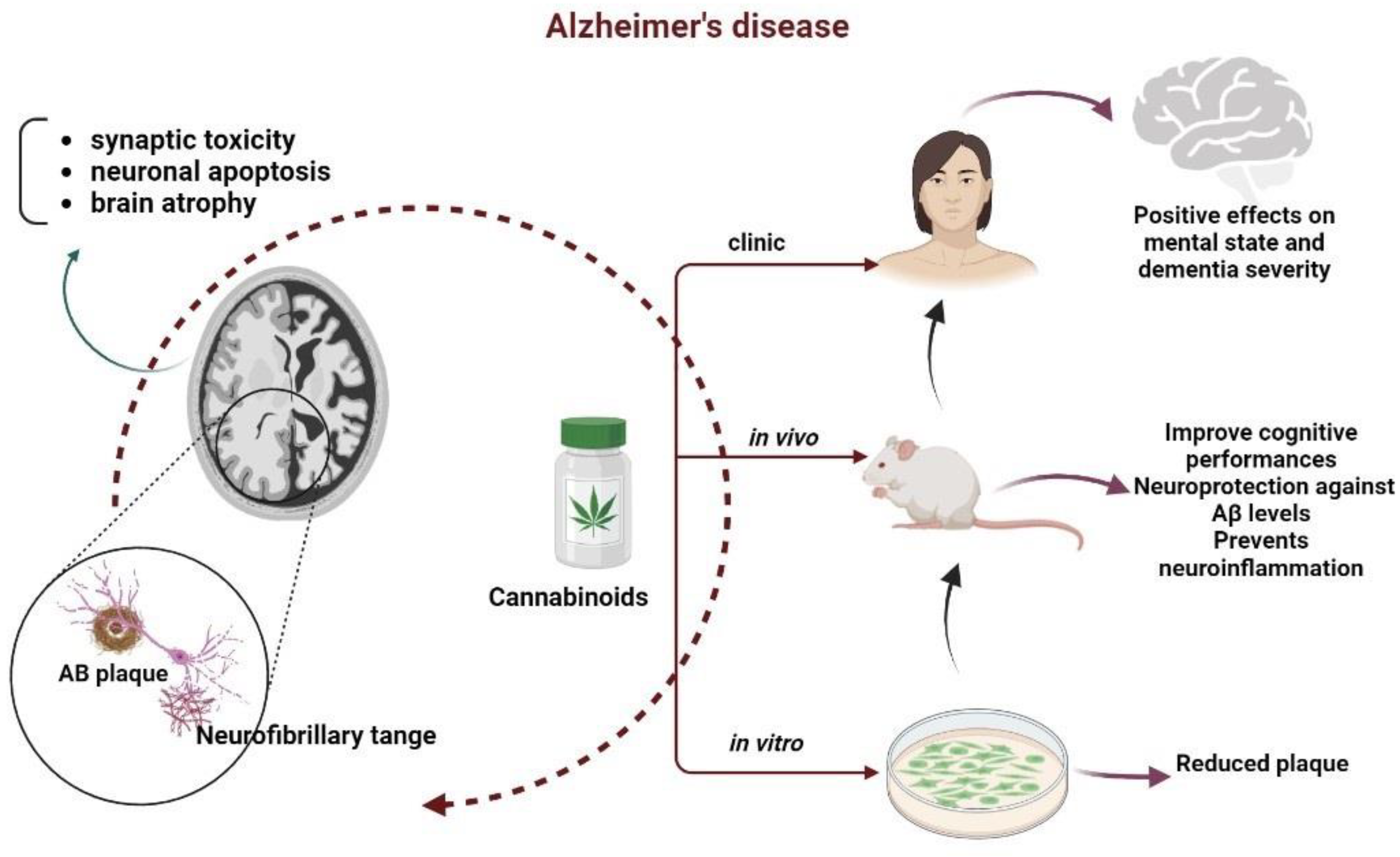 Goods and Bads of the Endocannabinoid System as a Therapeutic Target:  Lessons Learned after 30 Years