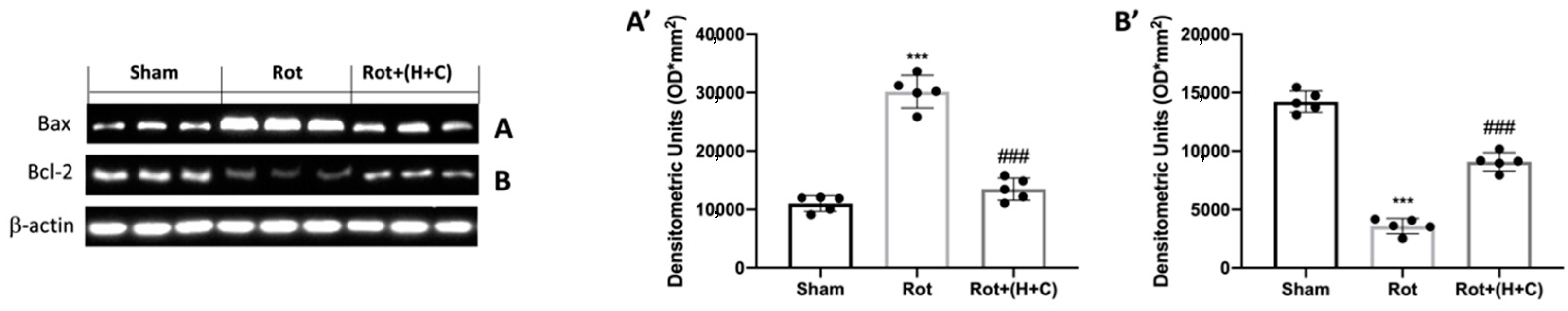 Biomedicines 10 02505 g004