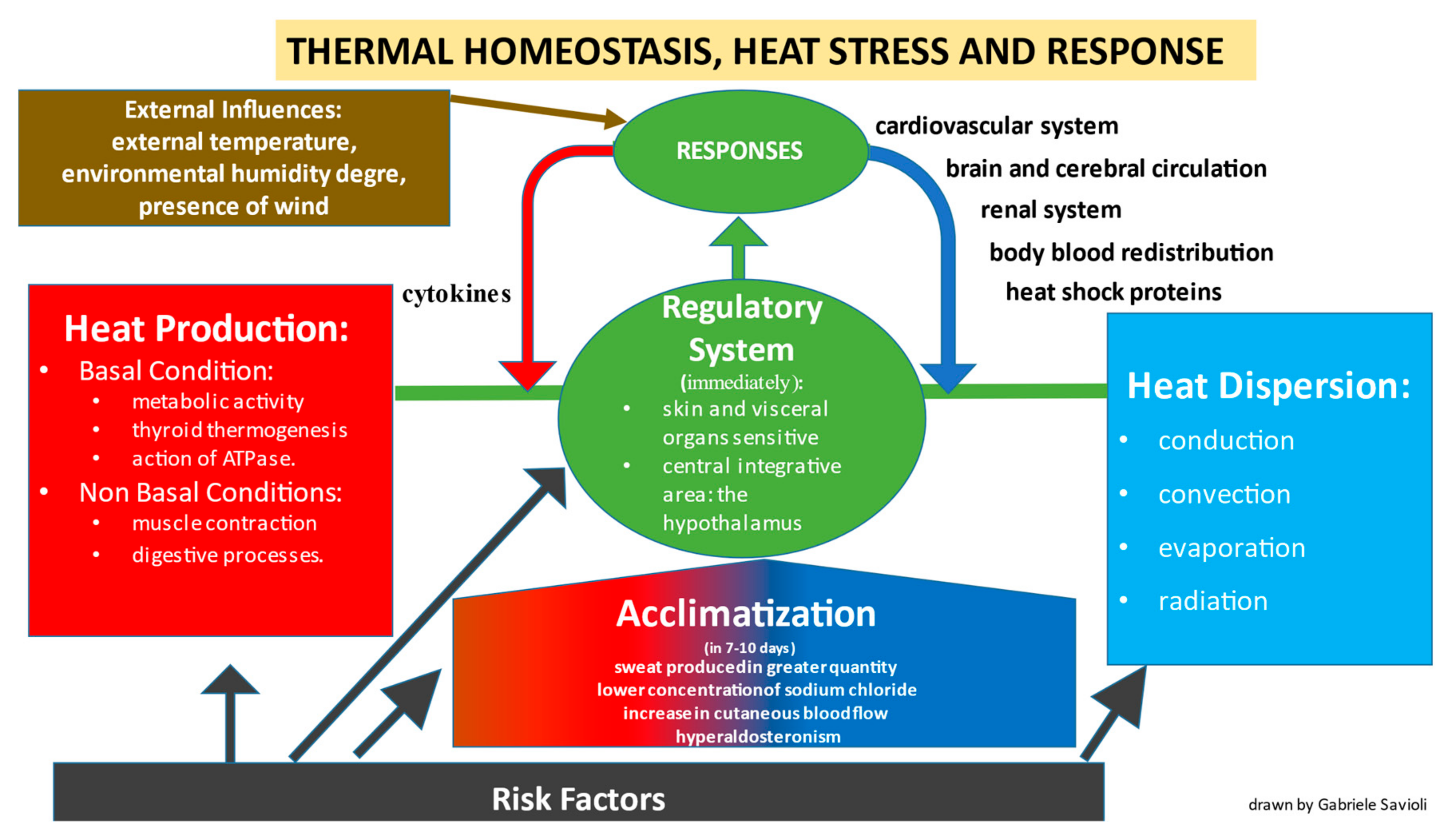 Biomedicines 10 02542 g001 Biomedicines 10 02542 g001