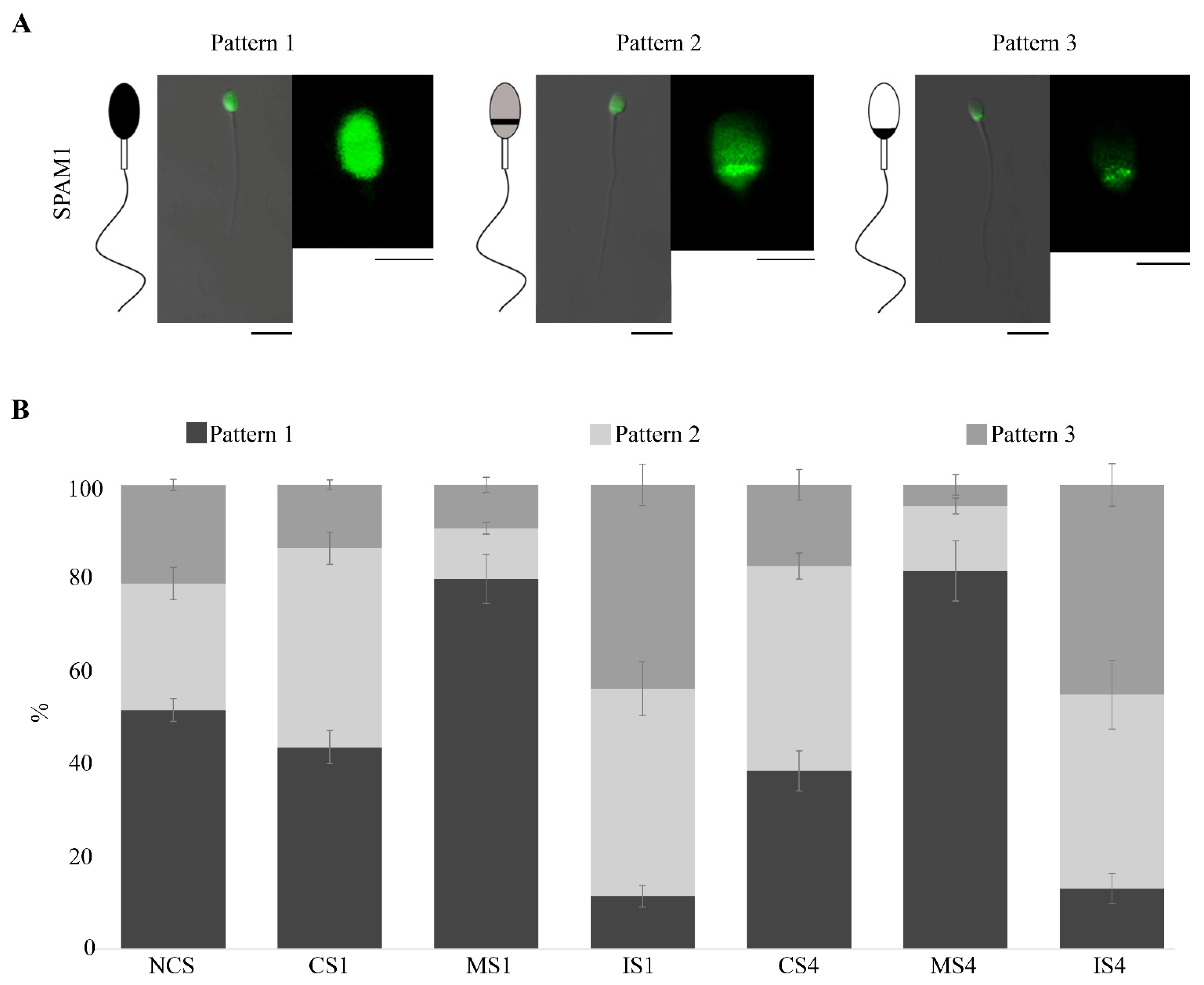 Biomedicines 10 02553 g002
