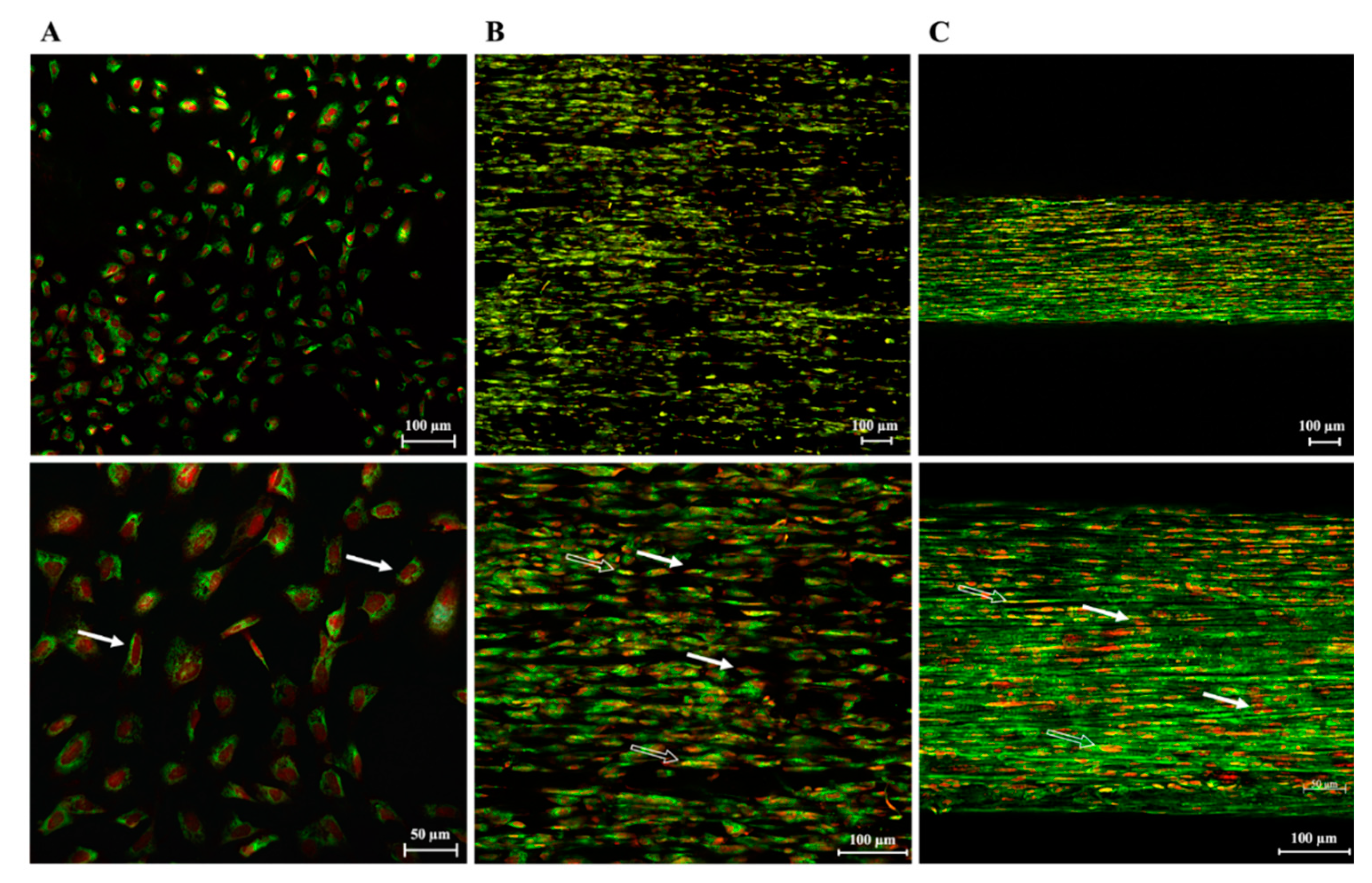 Biomedicines 10 02578 g011