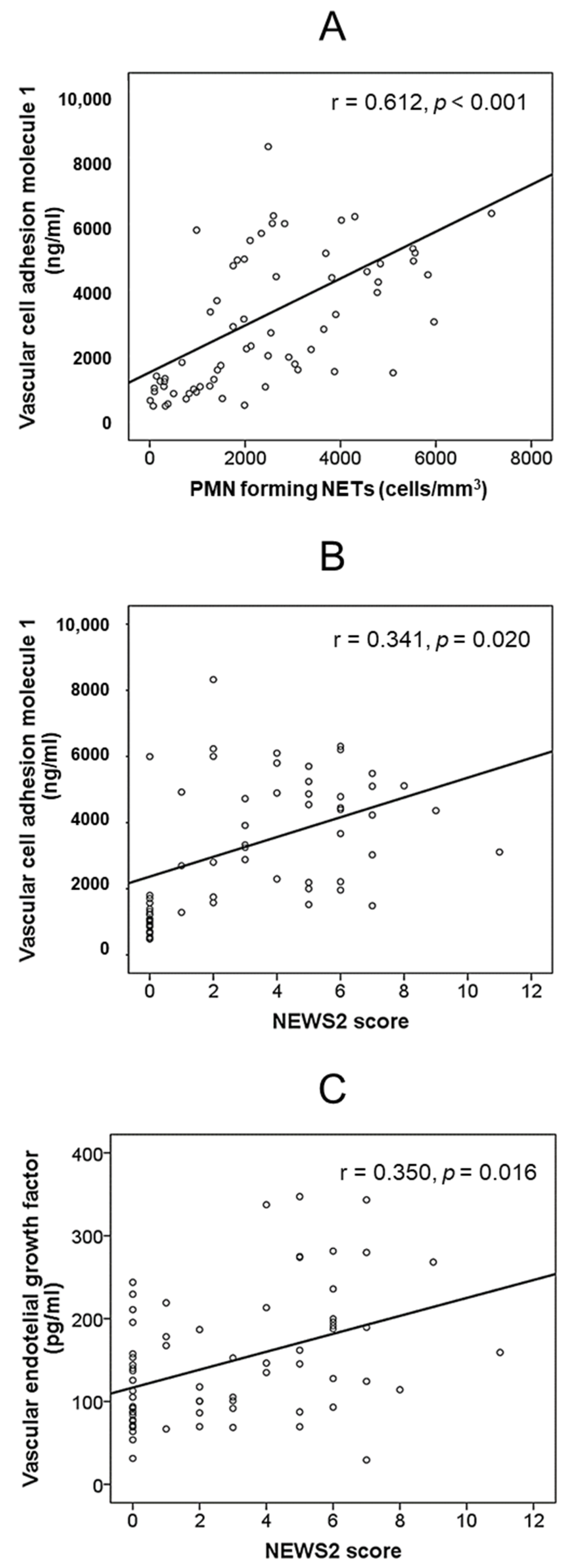 Biomedicines 10 02638 g002