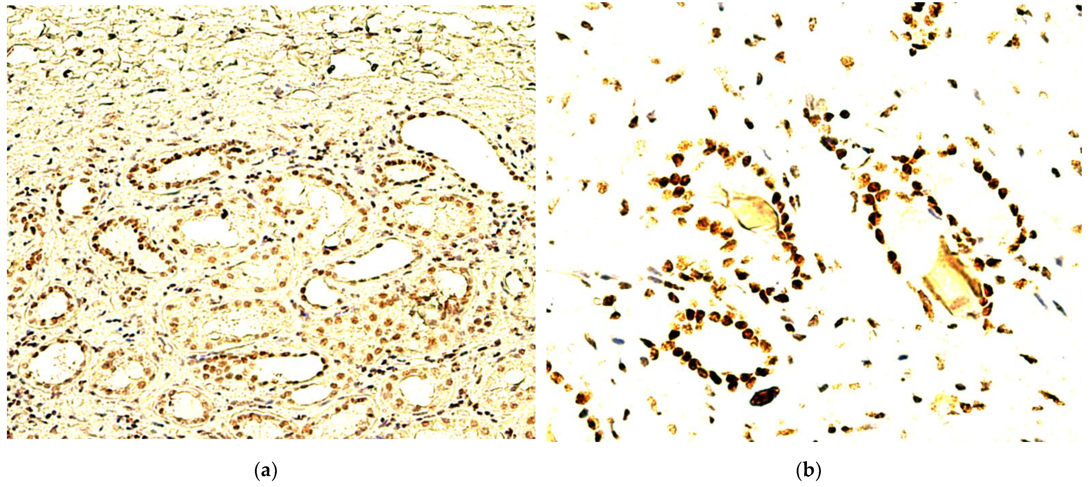 Biomedicines 10 02673 g003