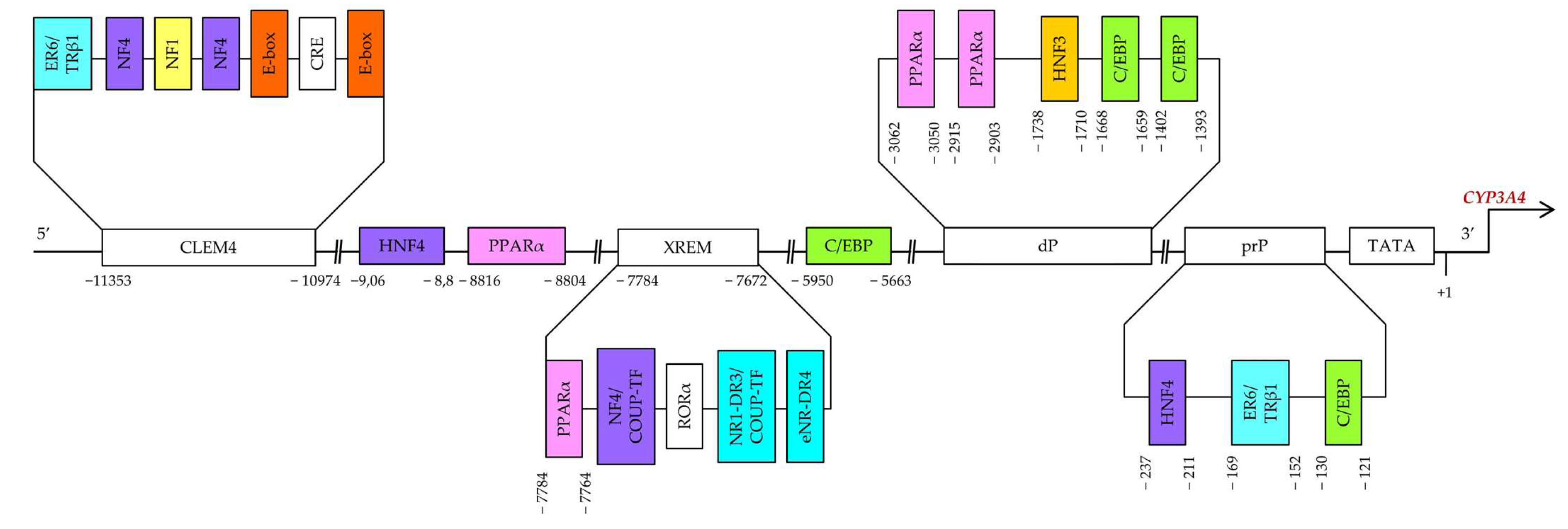 Biomedicines 10 02686 g002