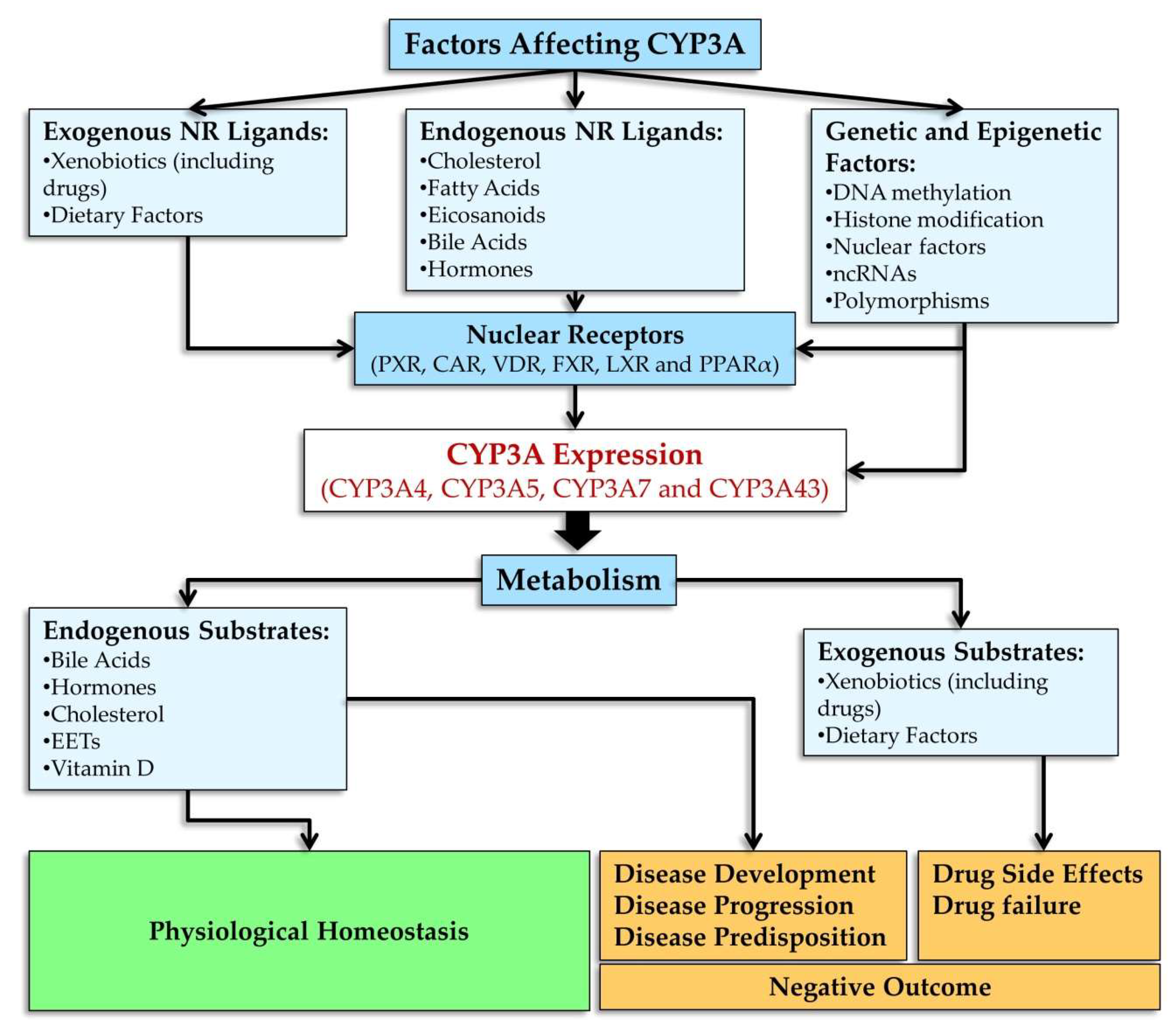 Biomedicines 10 02686 g005
