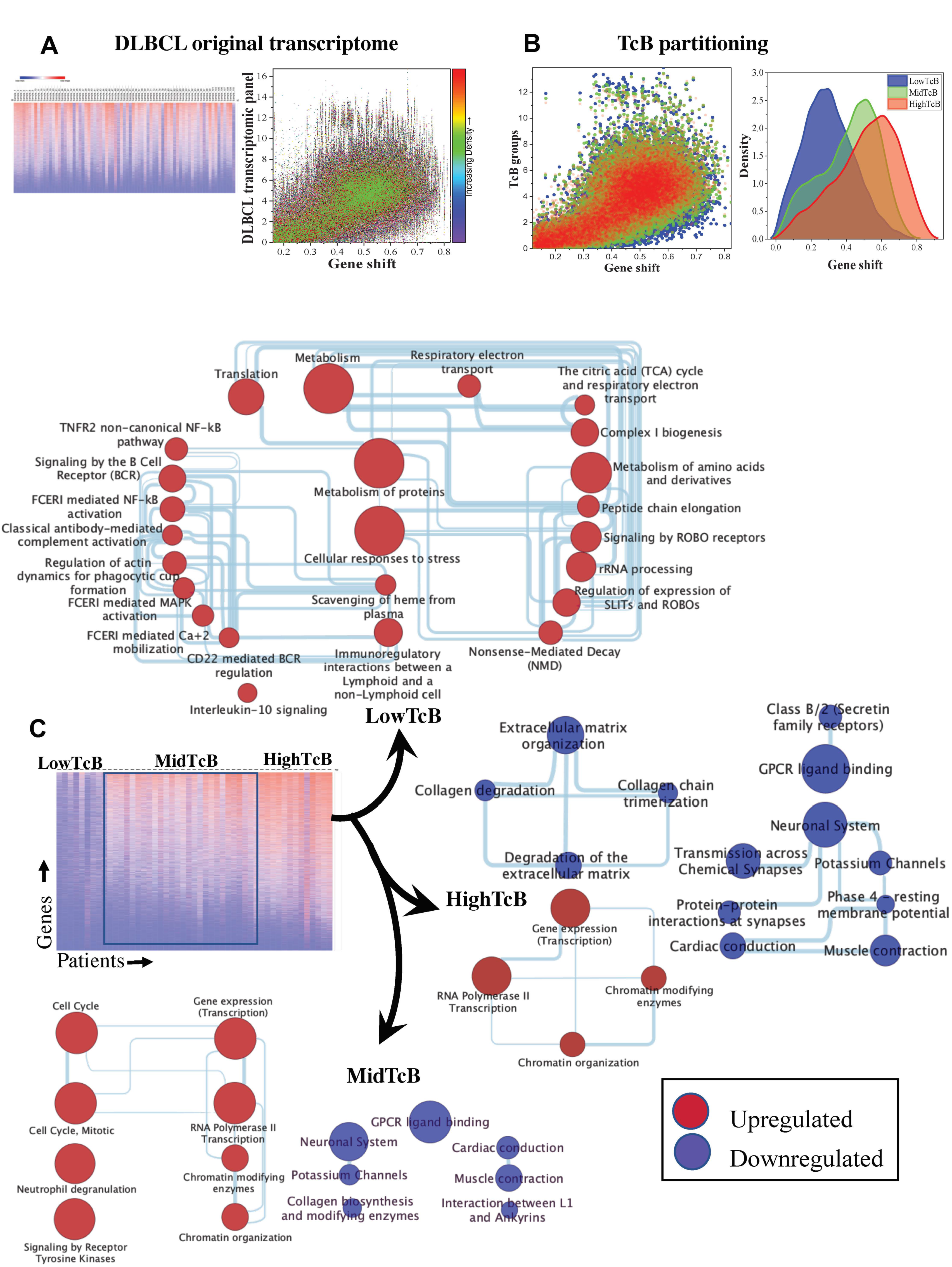 Biomedicines 10 02720 g002