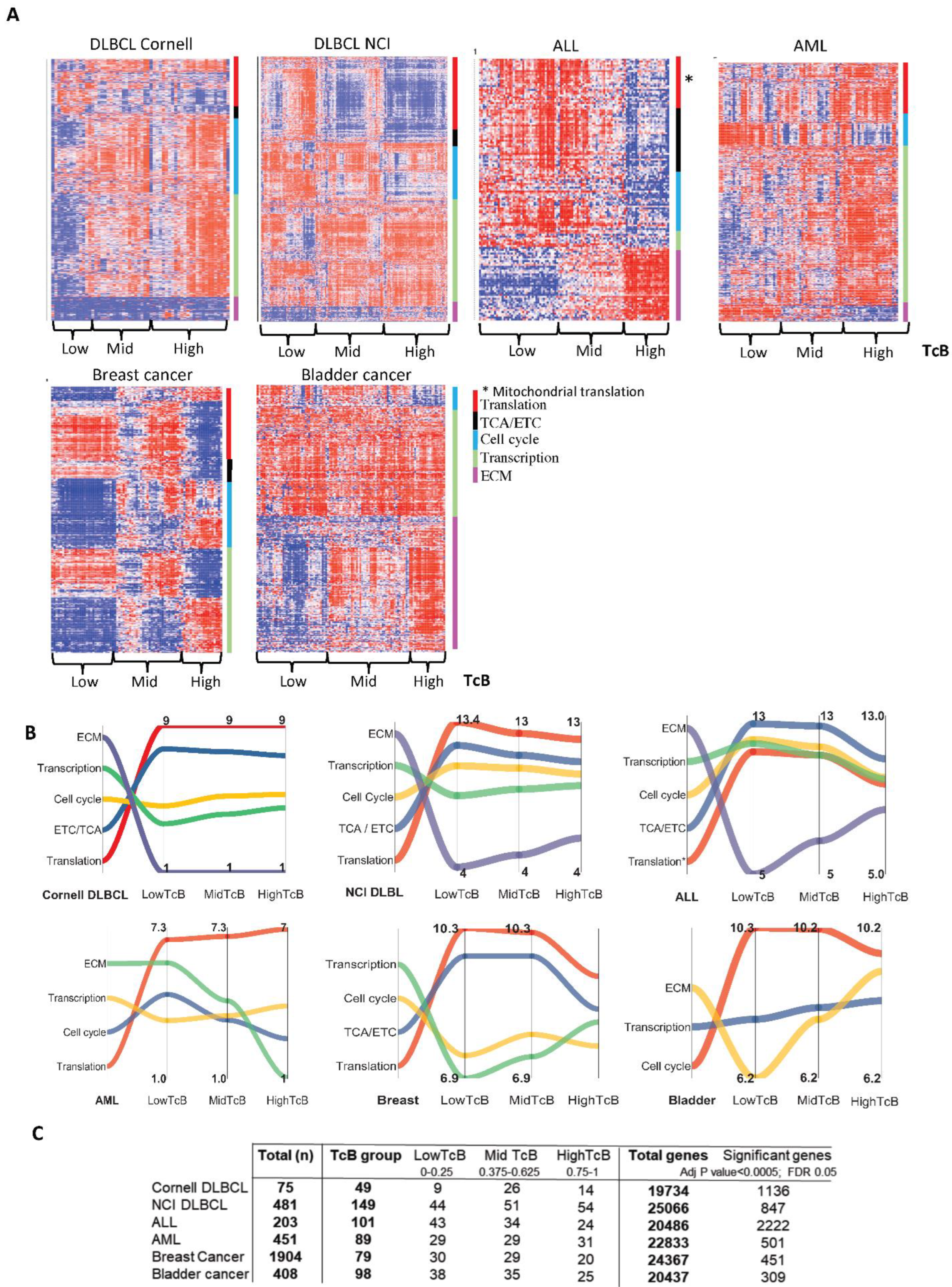 Biomedicines 10 02720 g003