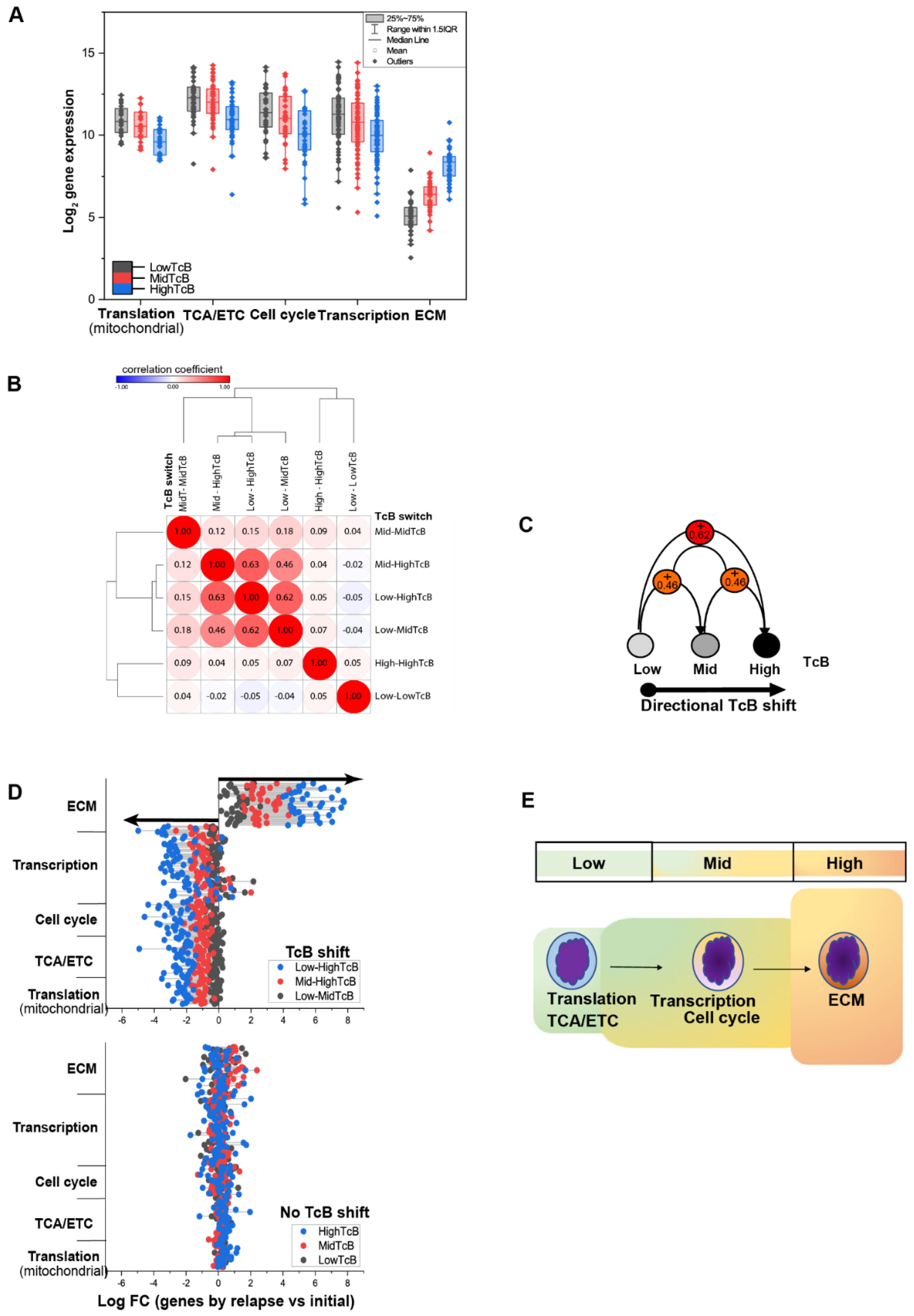 Biomedicines 10 02720 g005