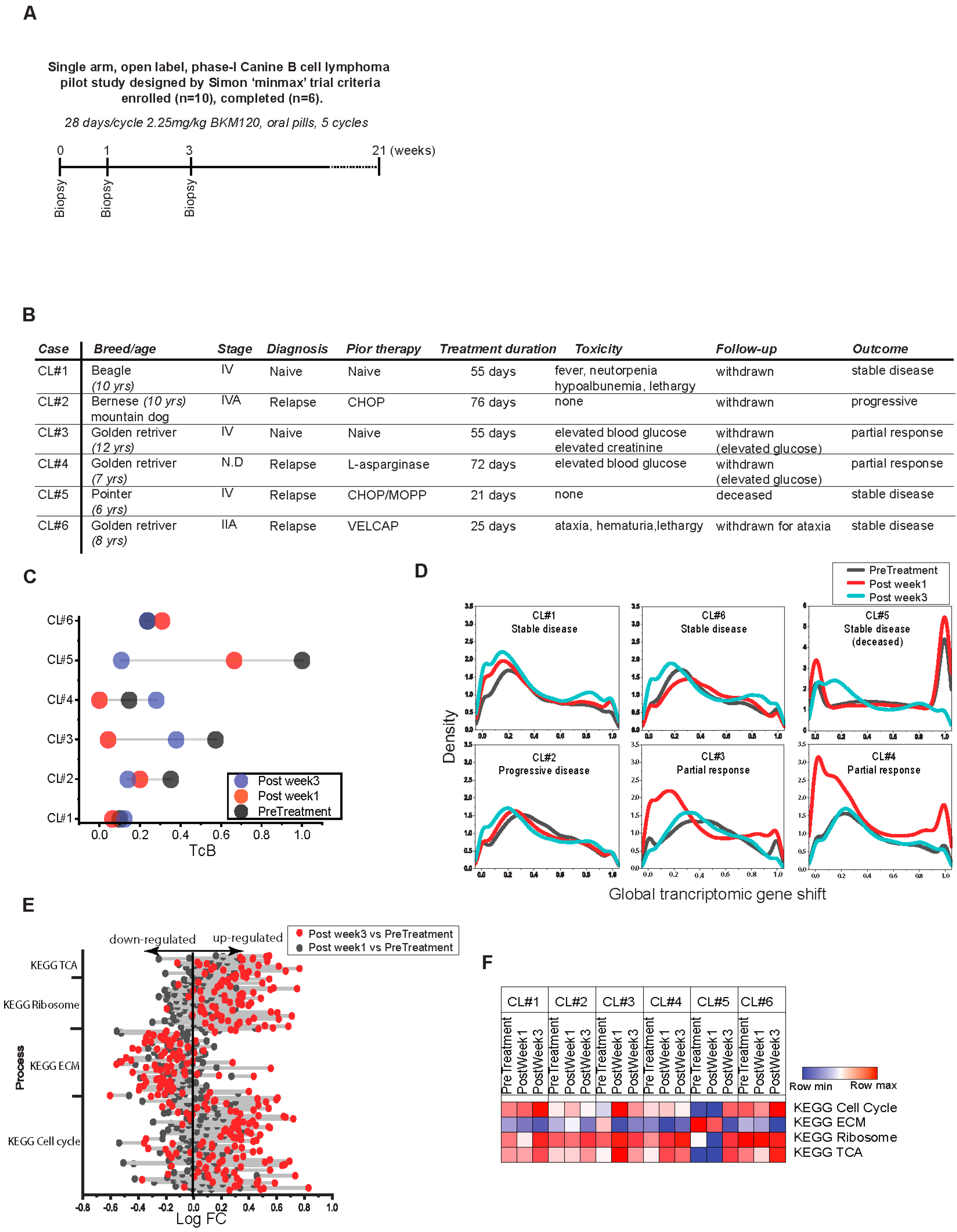 Biomedicines 10 02720 g006