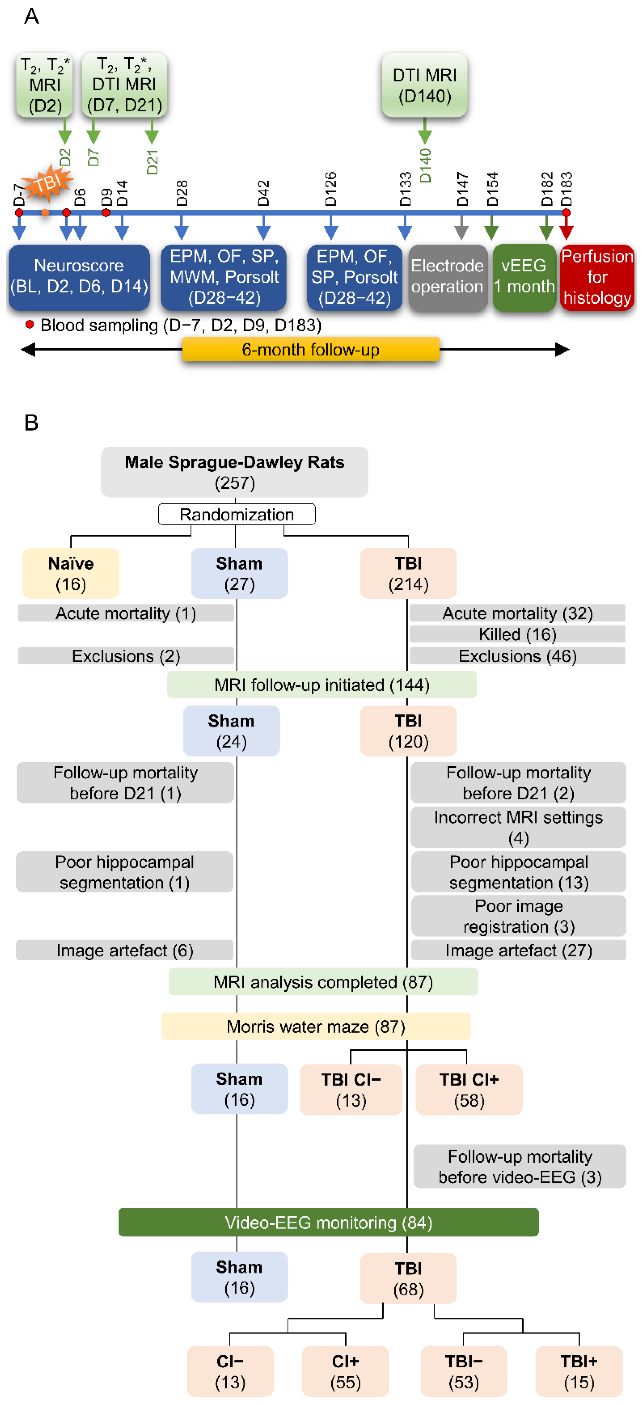 Biomedicines Free Full Text Acute Hippocampal Damage as a