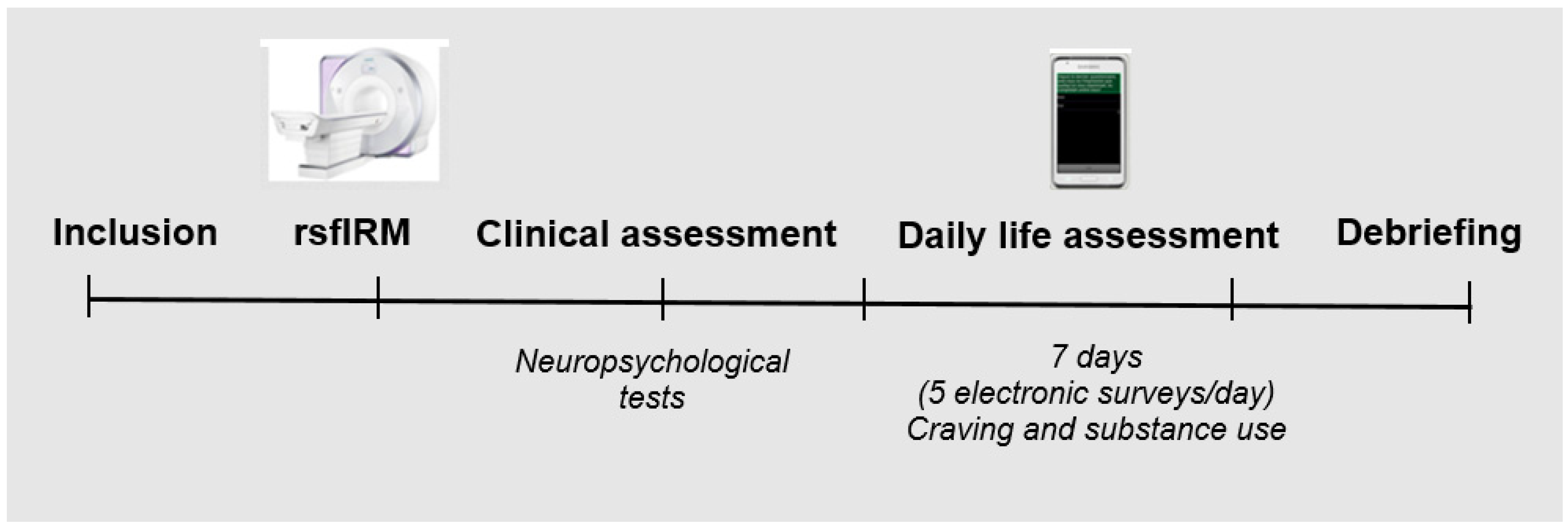 Biomedicines 10 02728 g001