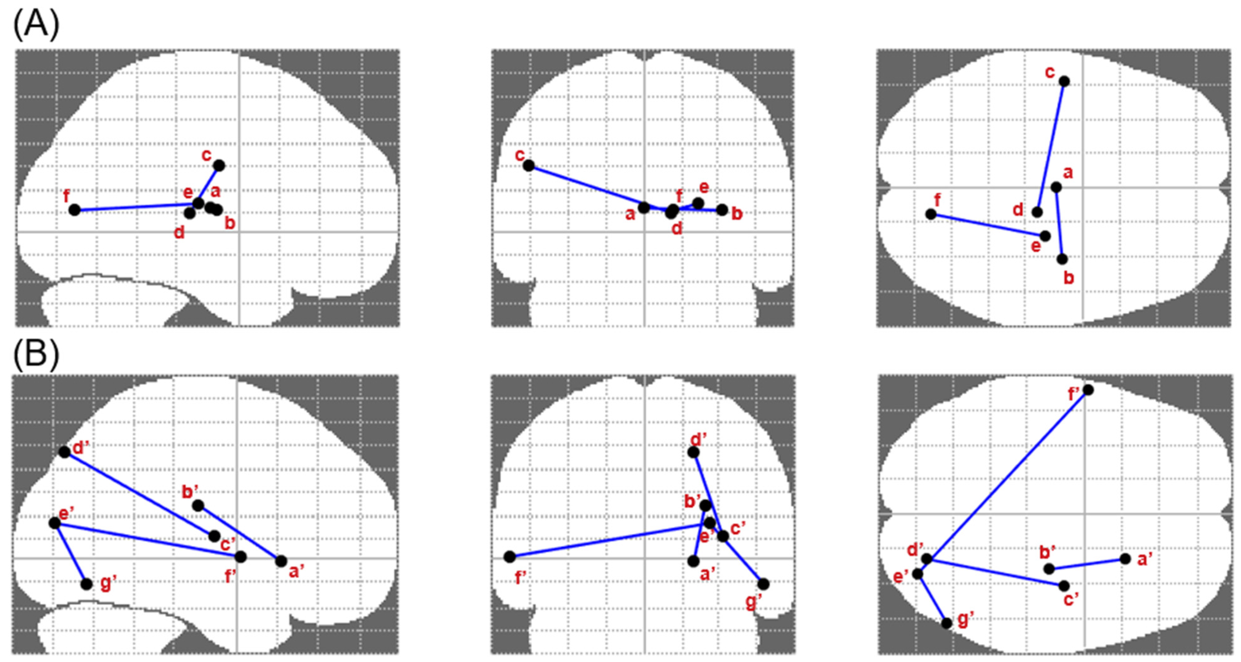 Biomedicines 10 02728 g002