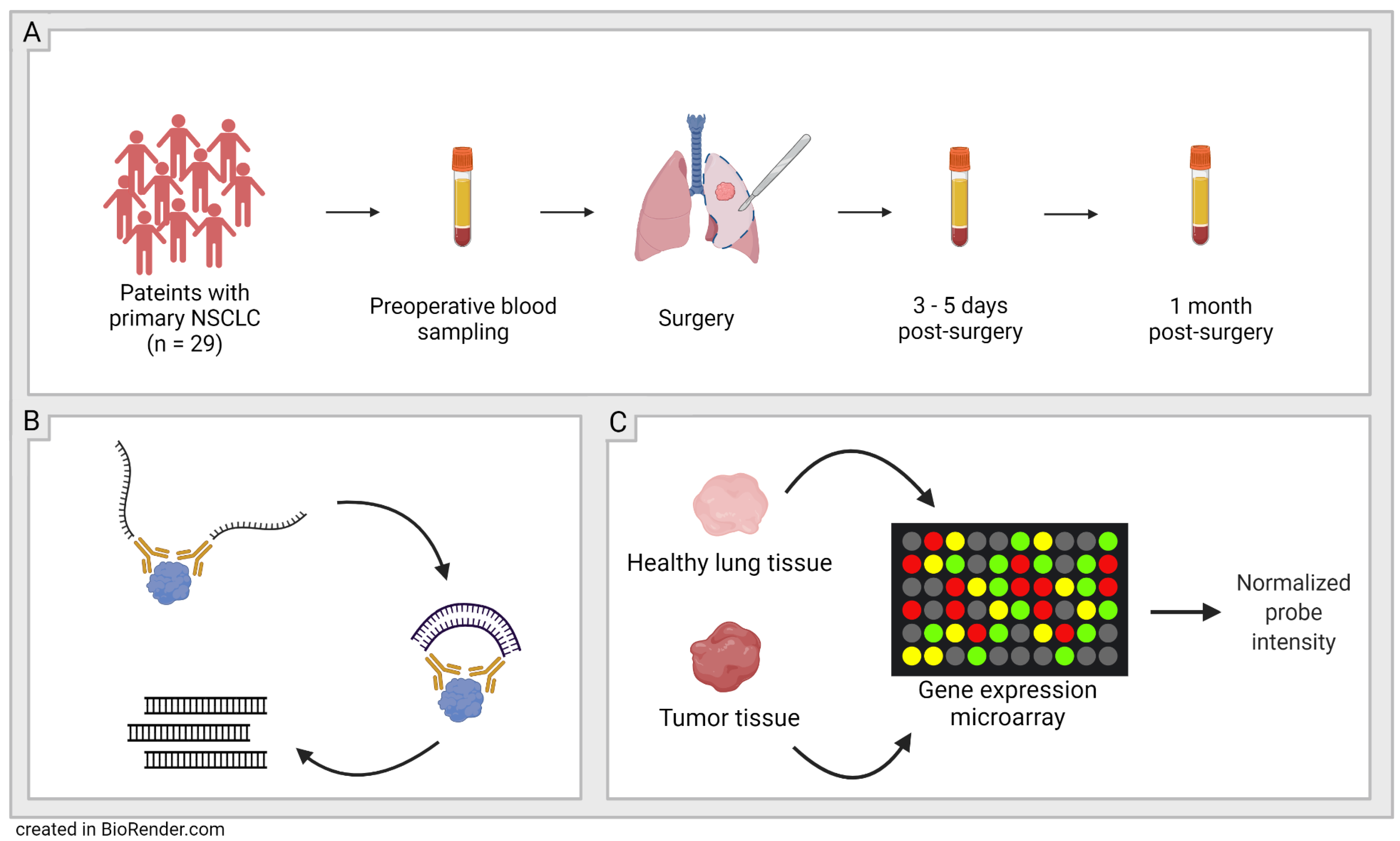 Biomedicines | Free Full-Text | Quantitative Proteomics Indicate Radical  Removal of Non-Small Cell Lung Cancer and Predict Outcome | HTML