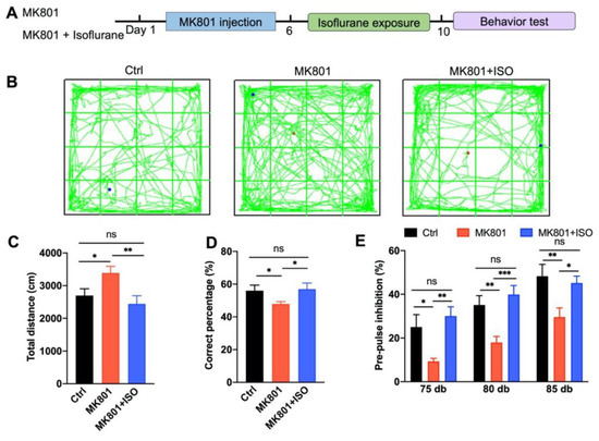 Biomedicines Free Full Text Isoflurane Rescue Schizophrenia