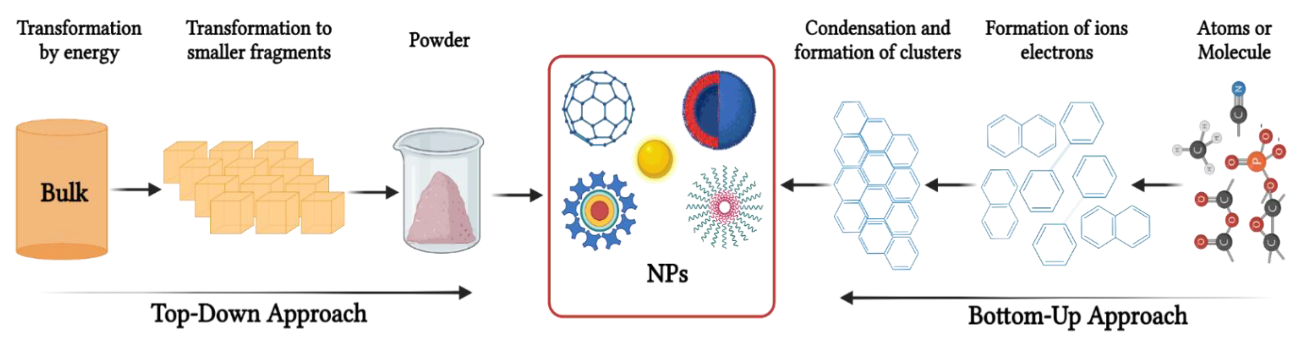 Biomedicines 10 02792 g001 Biomedicines 10 02792 g001