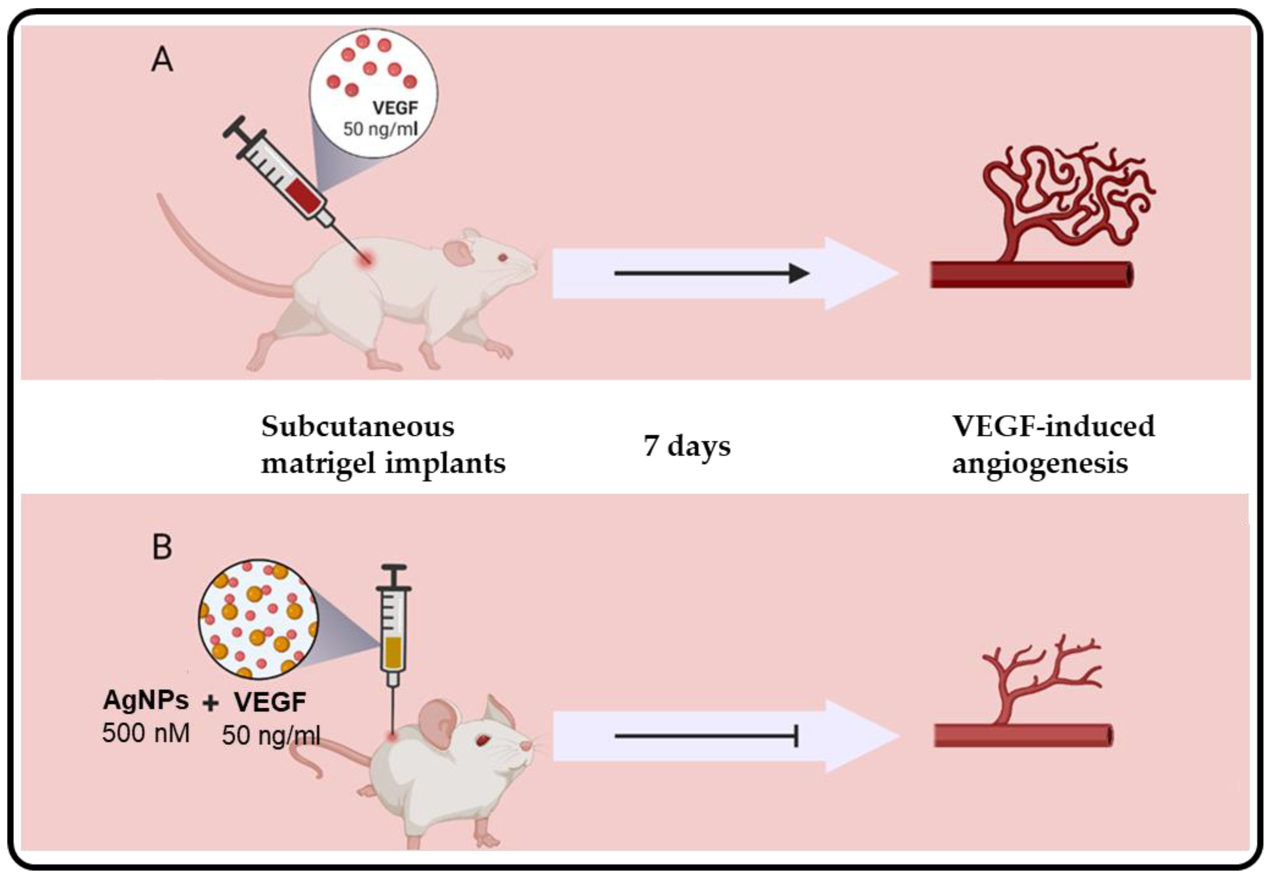 Biomedicines 10 02792 g005 Biomedicines 10 02792 g005